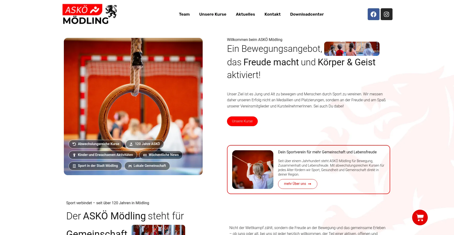 Website screenshot of Askoe-moedling.at