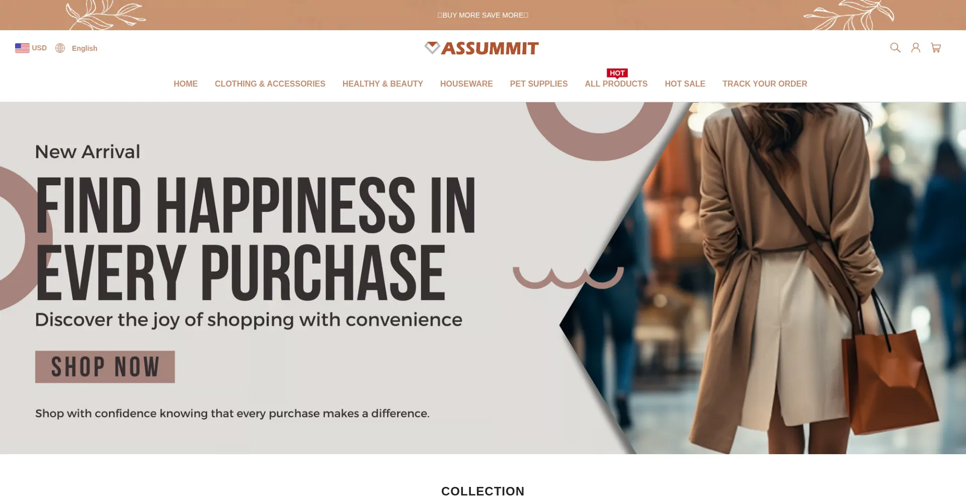 Website screenshot of Assummit.com