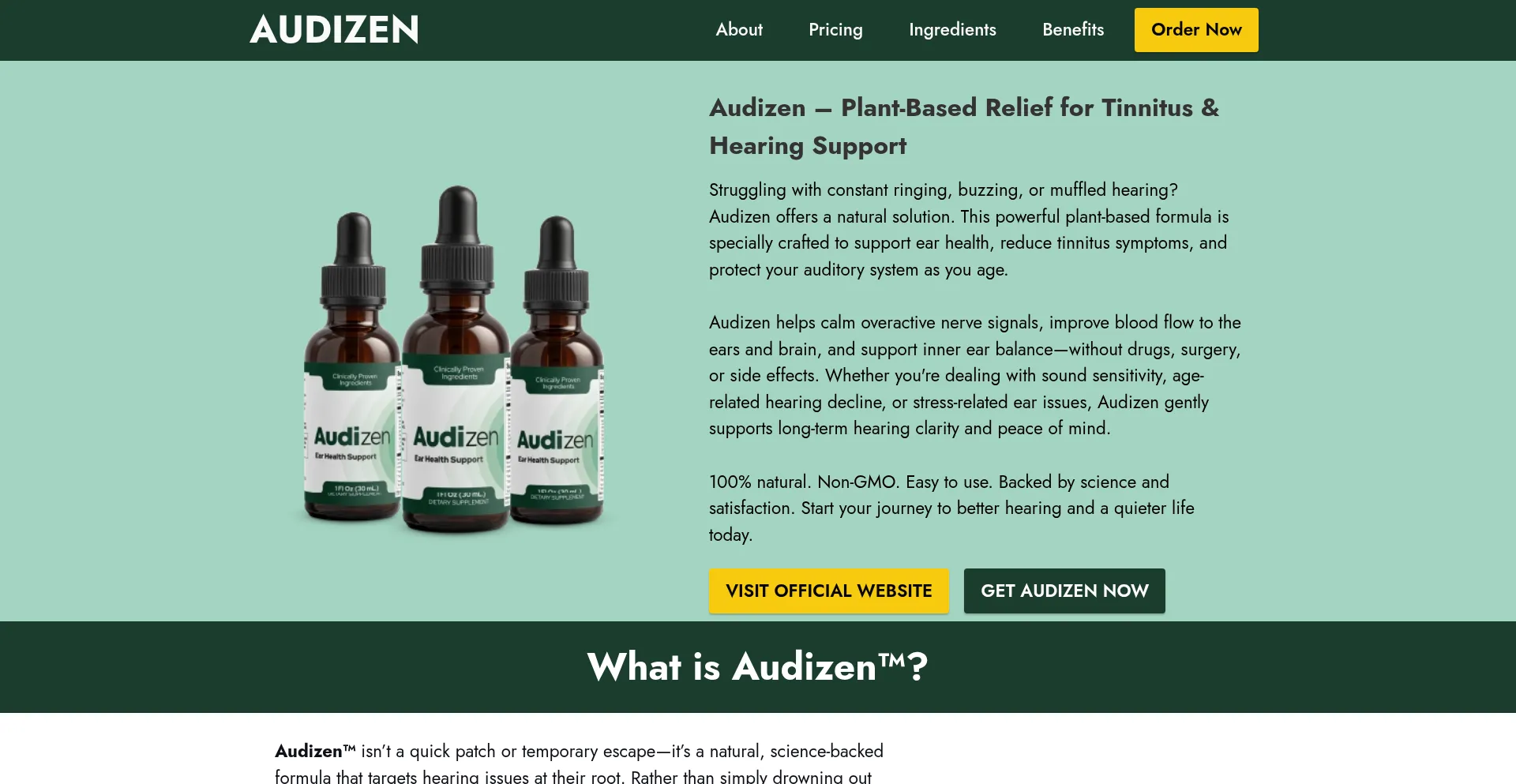 Audi--zen.com Screenshot