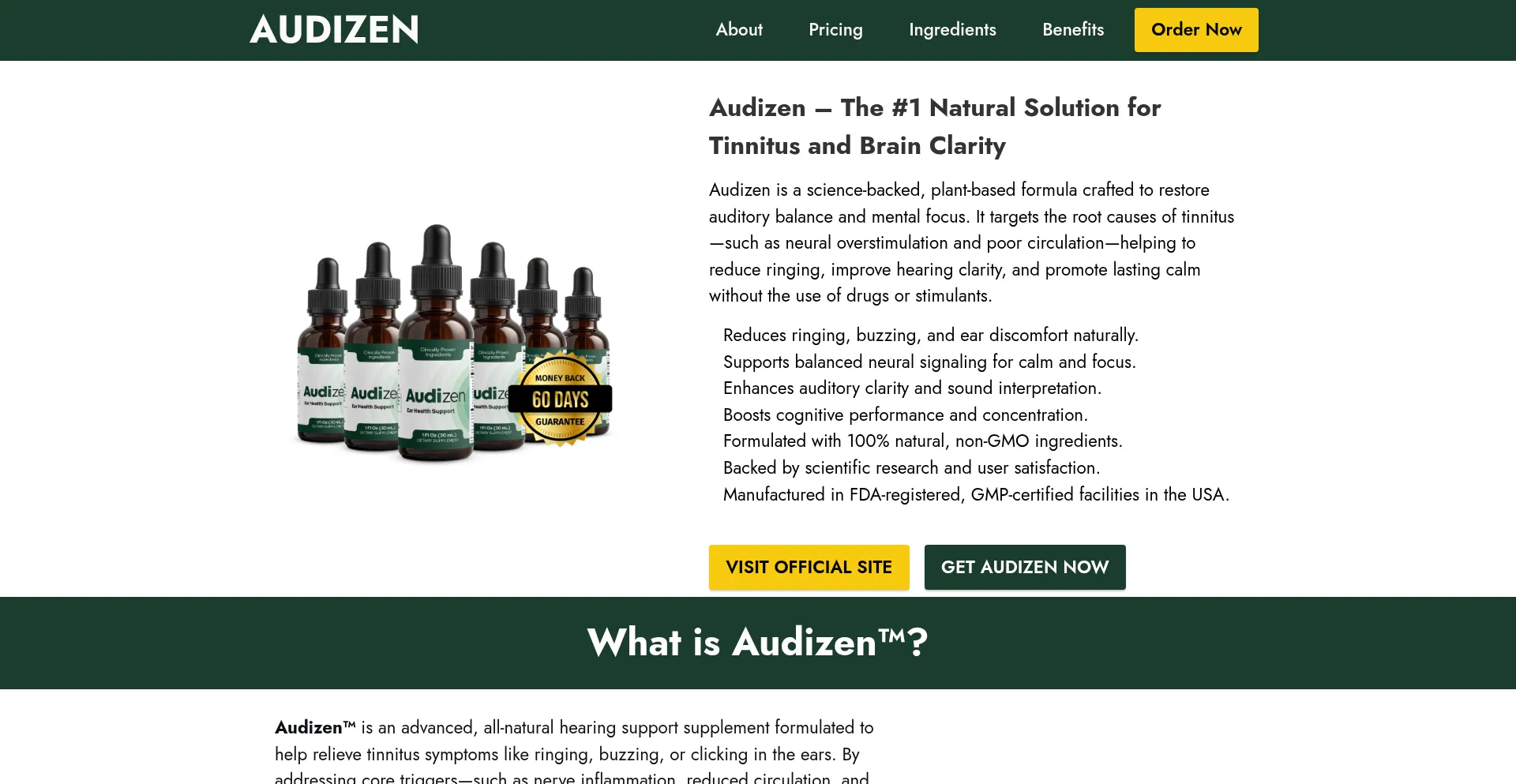Website screenshot of Audi-zen.us