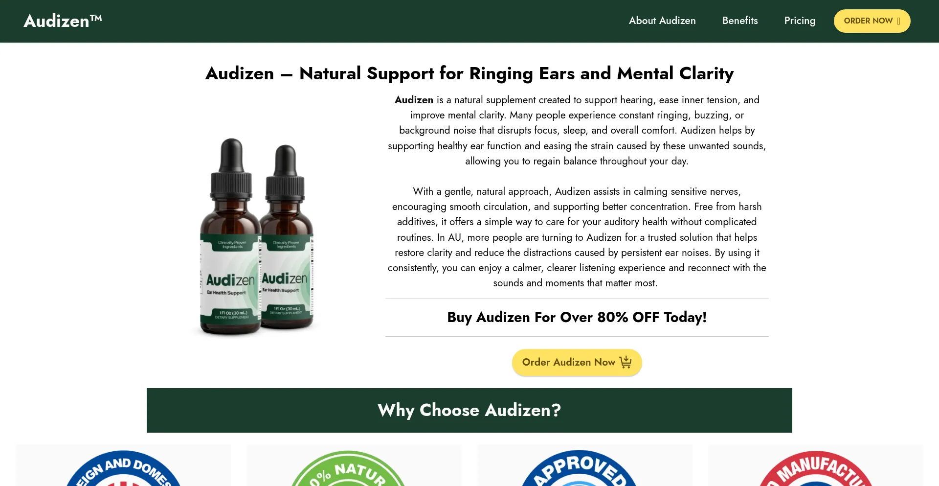 Website screenshot of Audizen.au