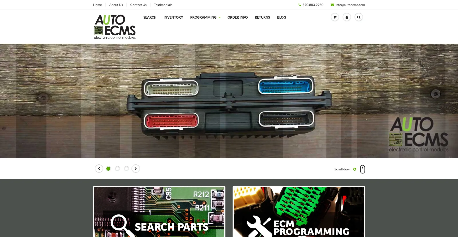Website screenshot of Autoecmstore.com