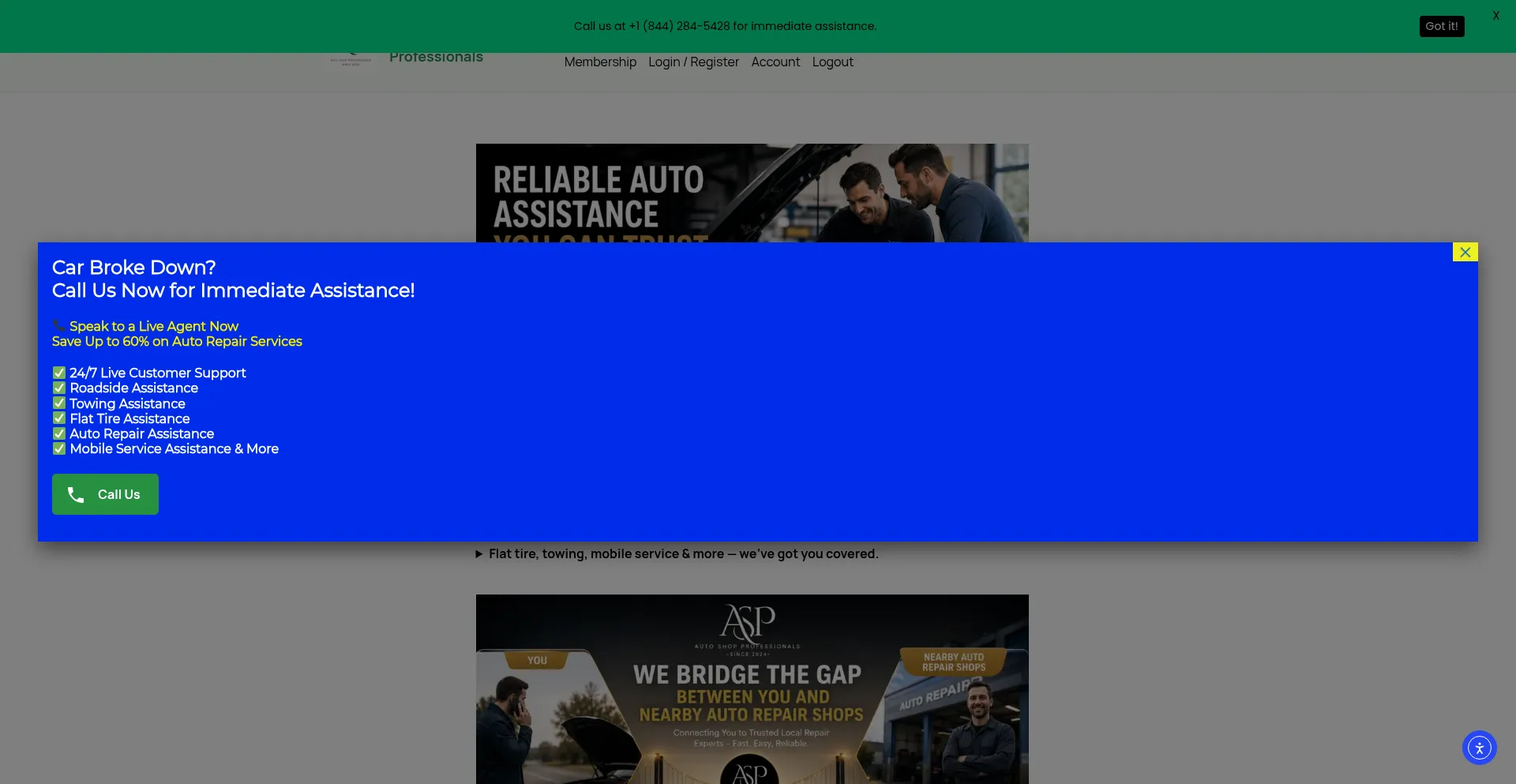 Autoshopprofessionals.com