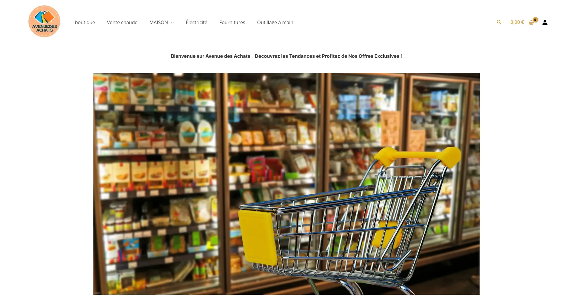 Website screenshot of Avenuedesachats.com