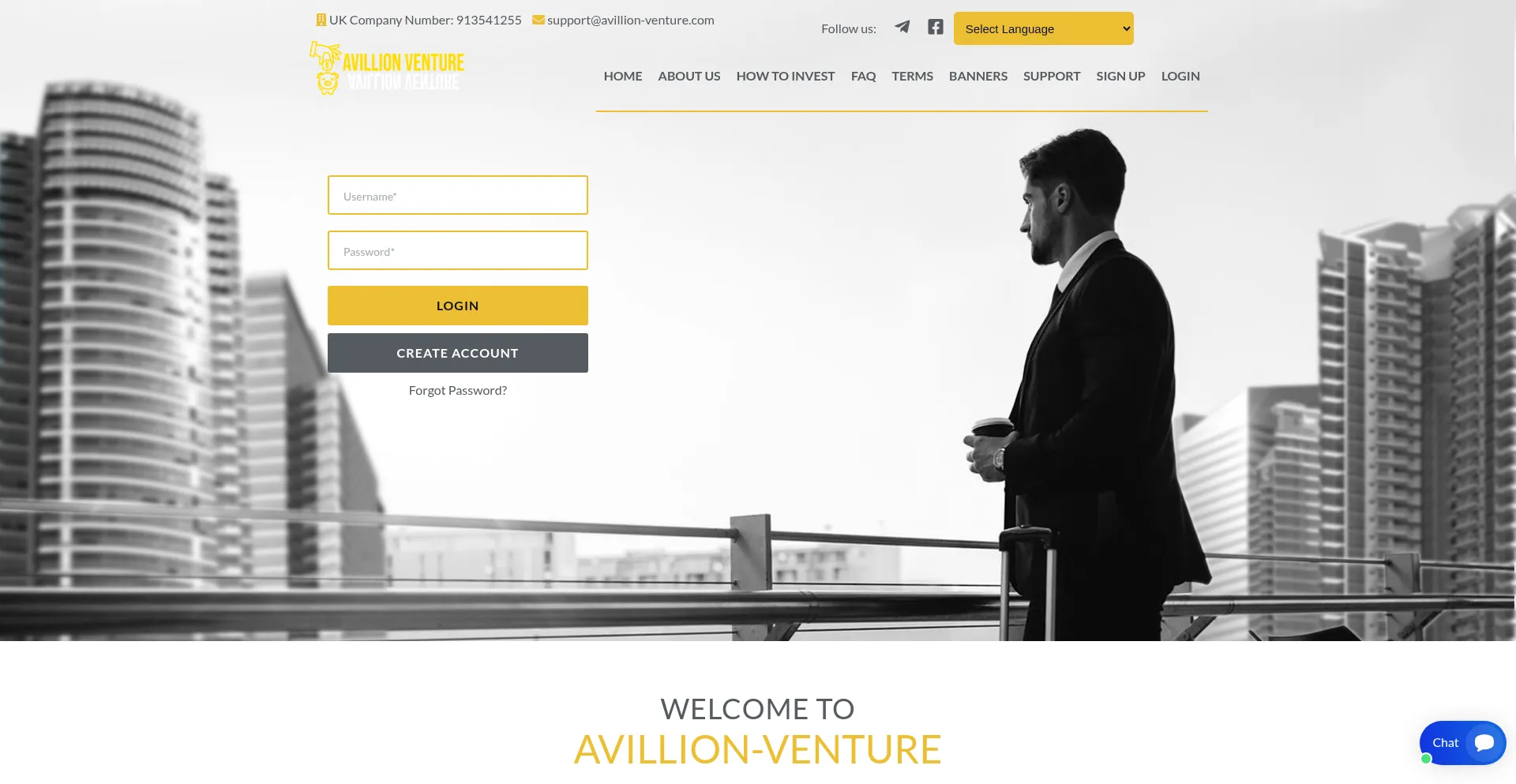 Website screenshot of Avillion-venture.com
