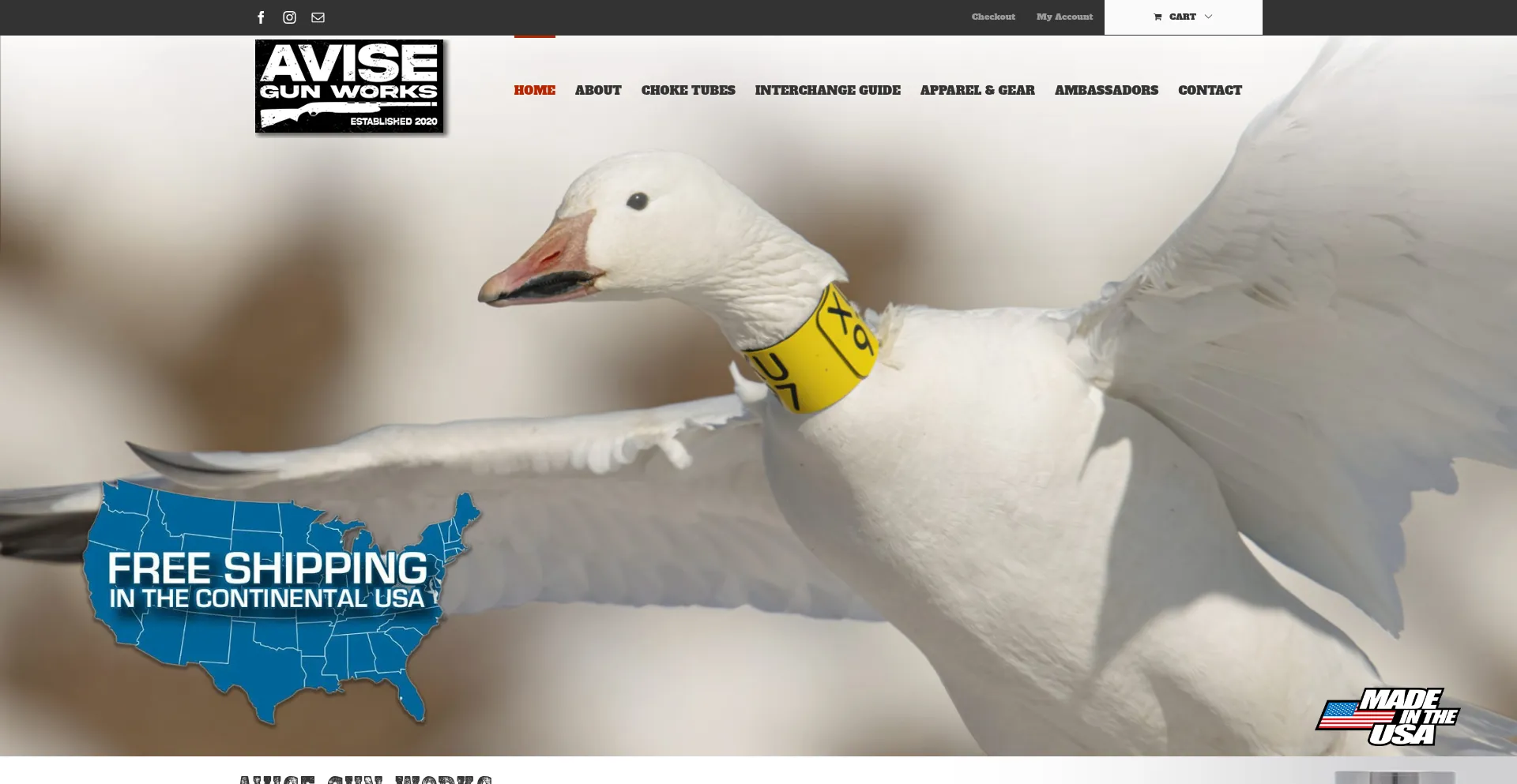 Avisegunworks.com
