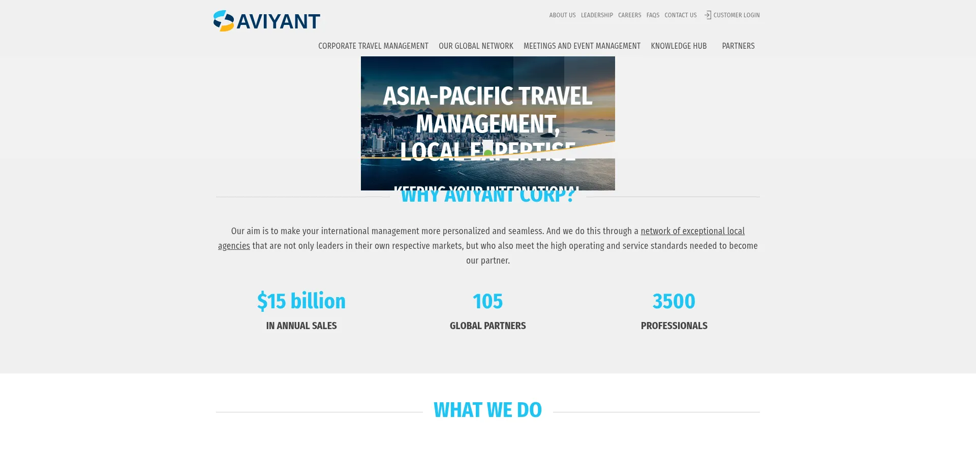 Website screenshot of Aviyantgroup.com