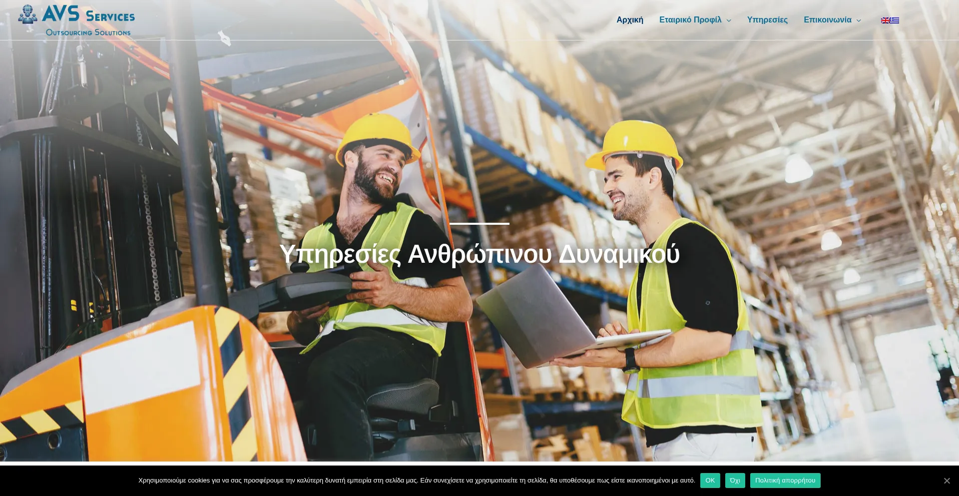 Avs-services.gr 安全可靠吗？