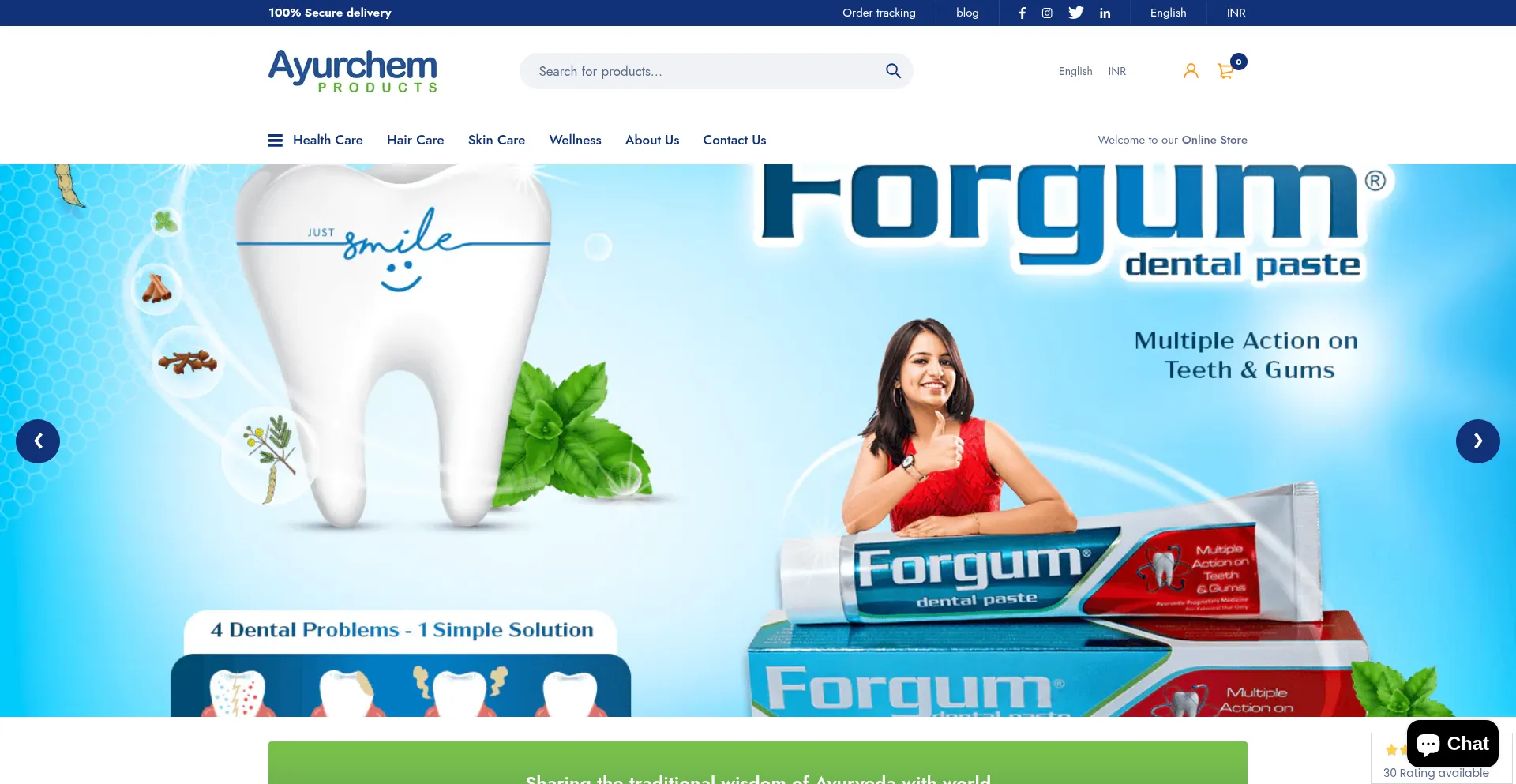 Website screenshot of Ayurchemstore.com