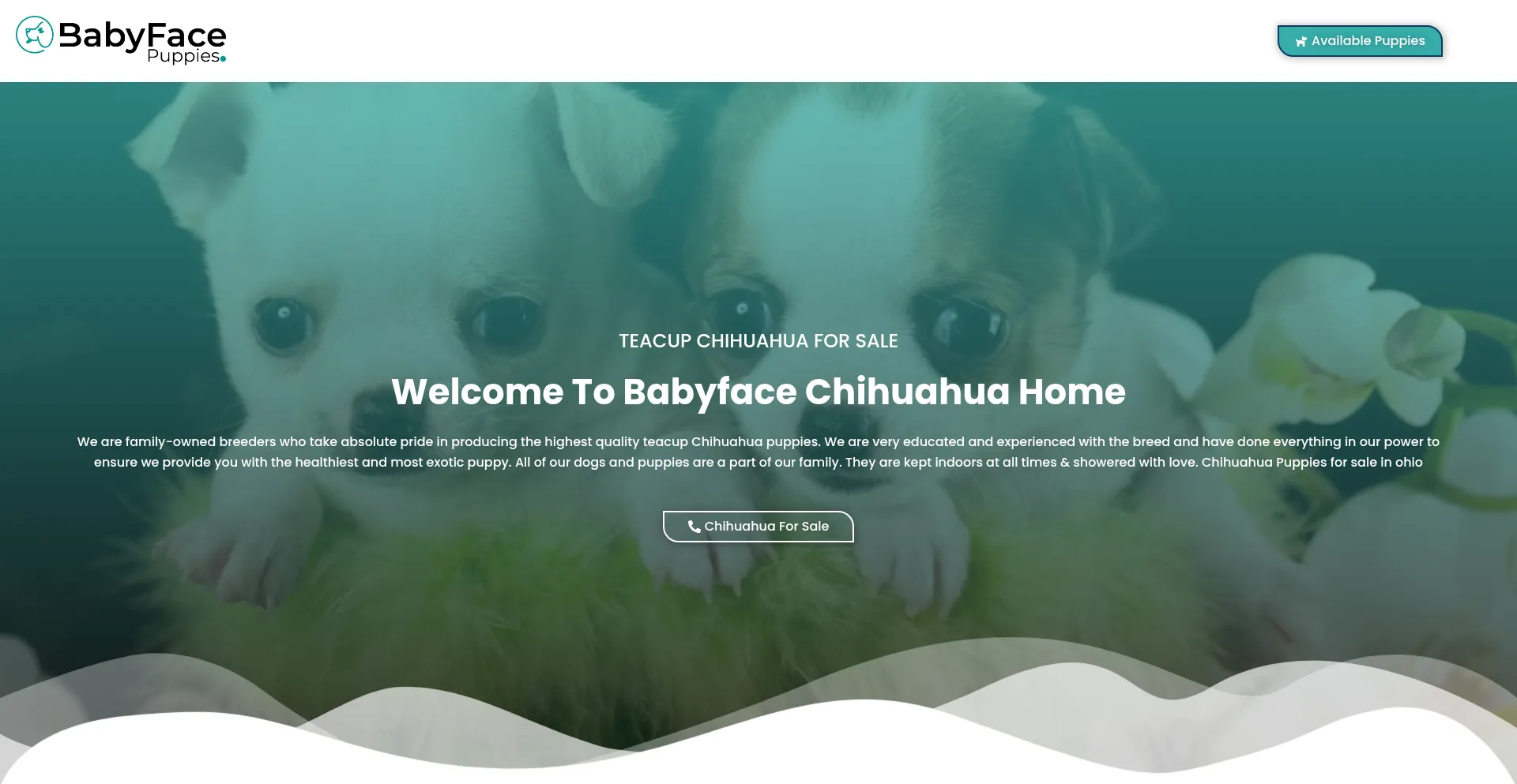 Babyfacepuppies.com Screenshot