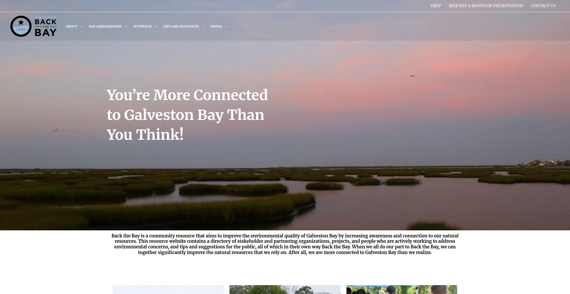 Website screenshot of Backthebay.org