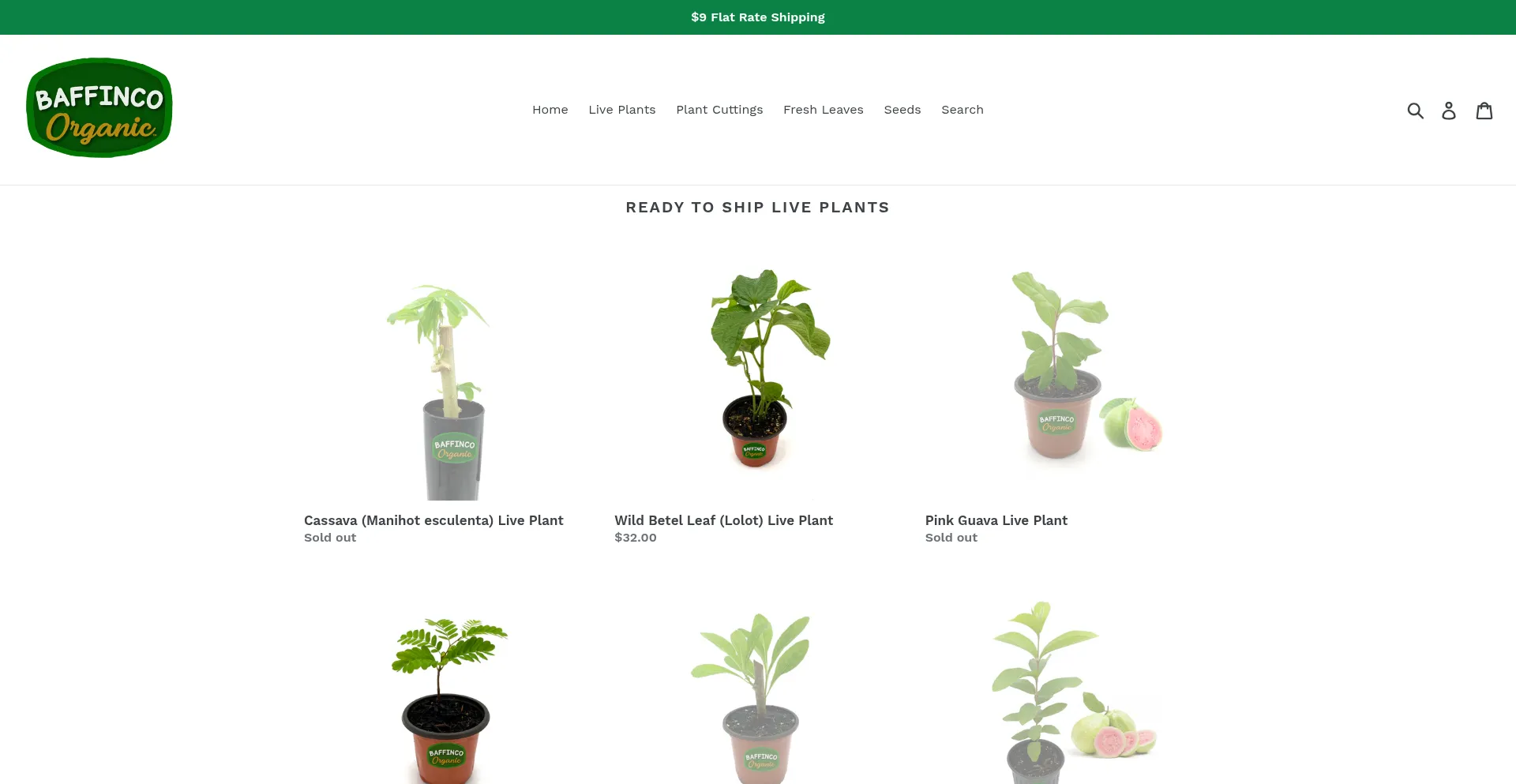 Website screenshot of Baffinco.com
