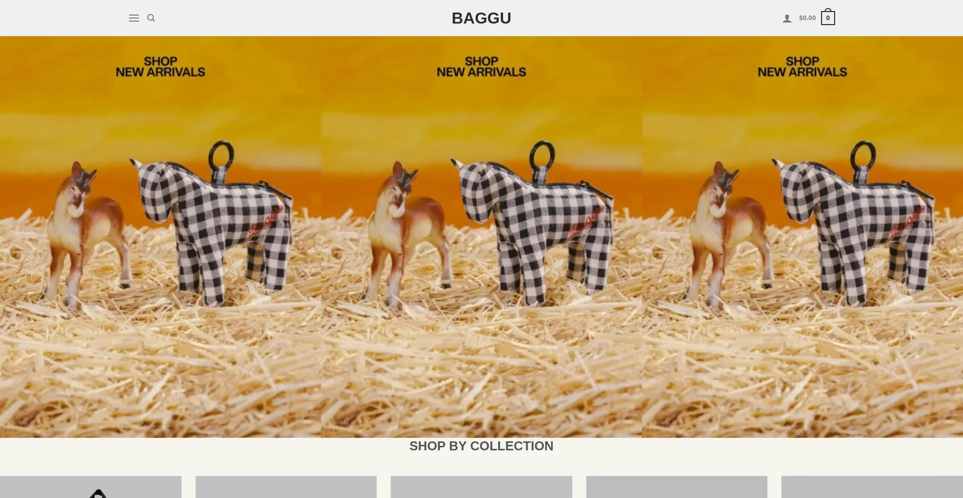 Website screenshot of Bagguplus.com