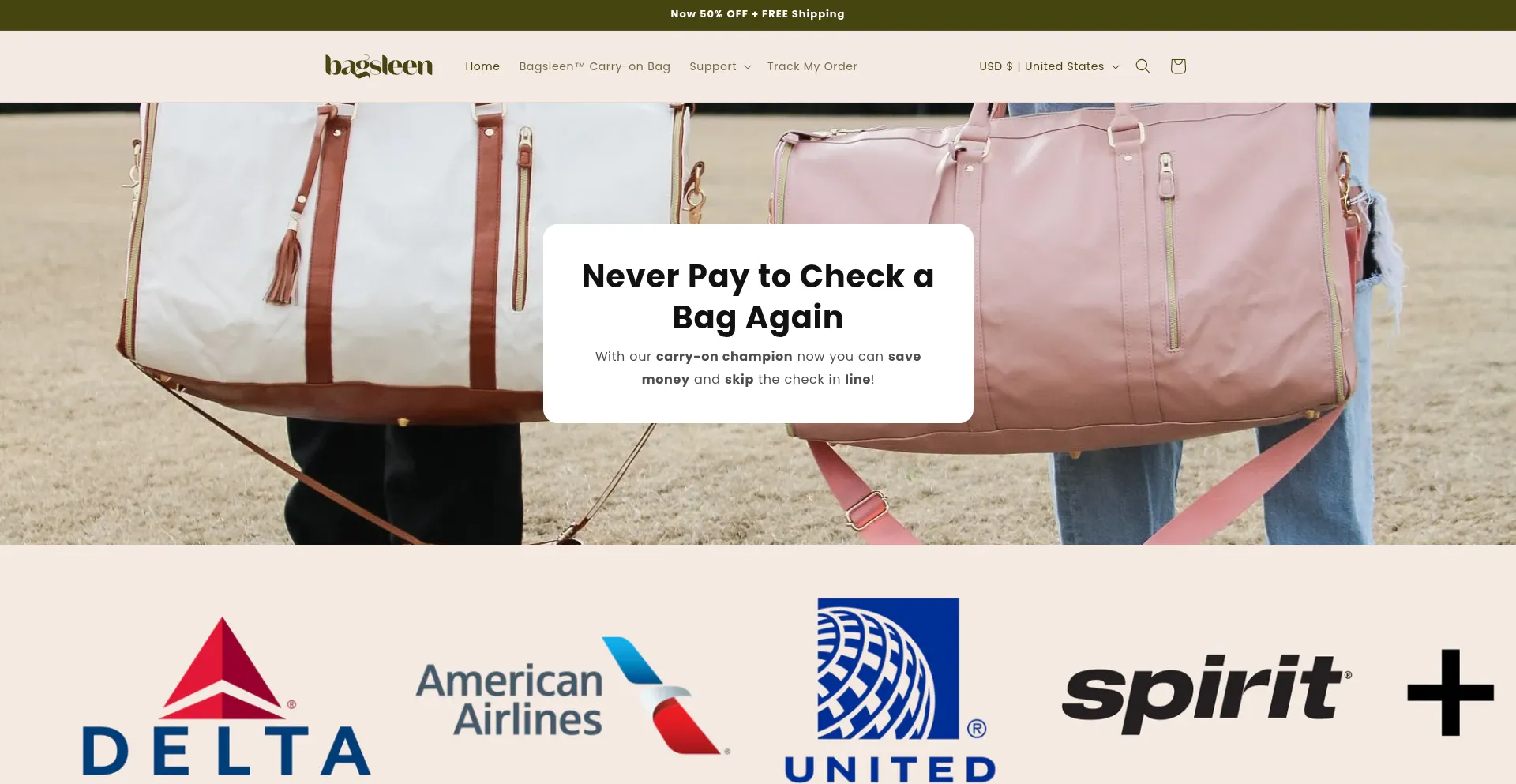 Website screenshot of Bagsleen.com
