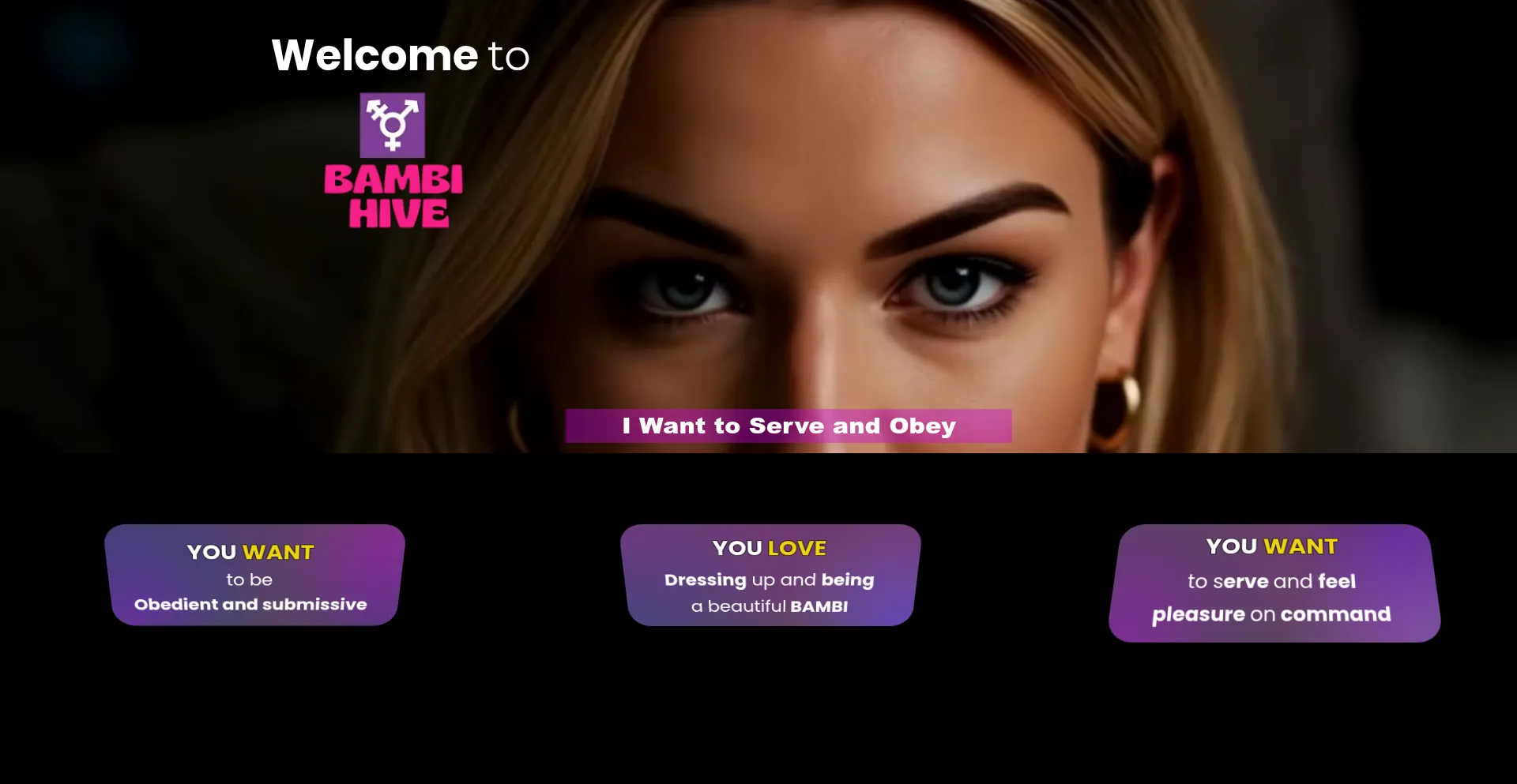 Website screenshot of Bambihive.com