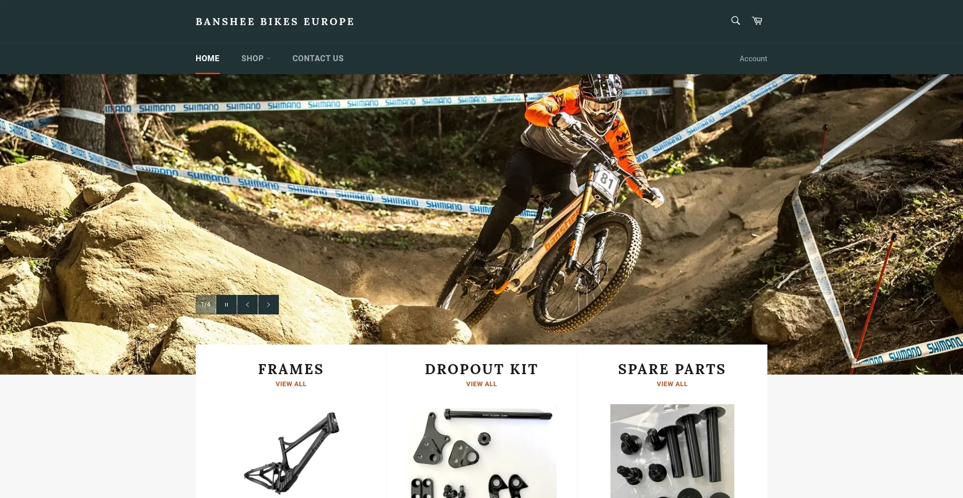 Website screenshot of Bansheebikeseurope.com