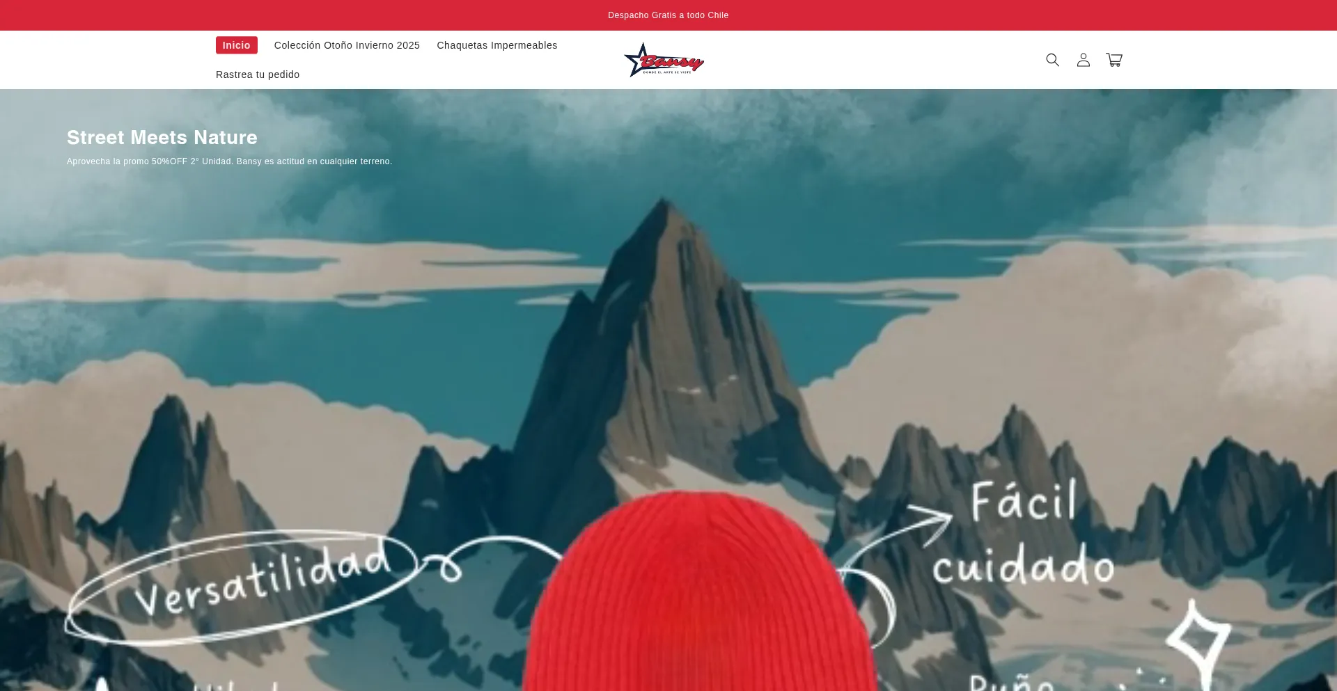 Website screenshot of Bansy.cl