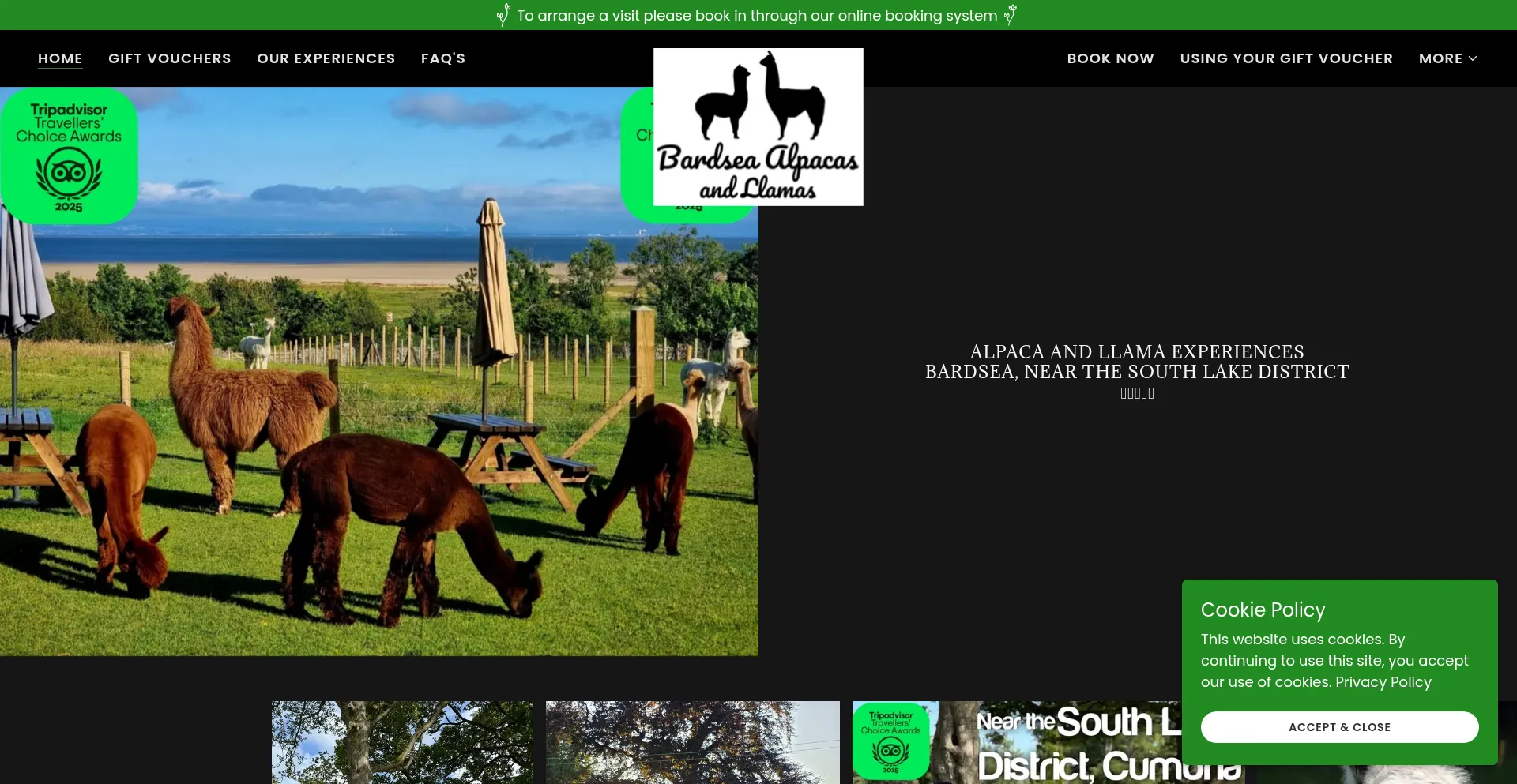 Bardsea-alpacas.co.uk 安全可靠吗？