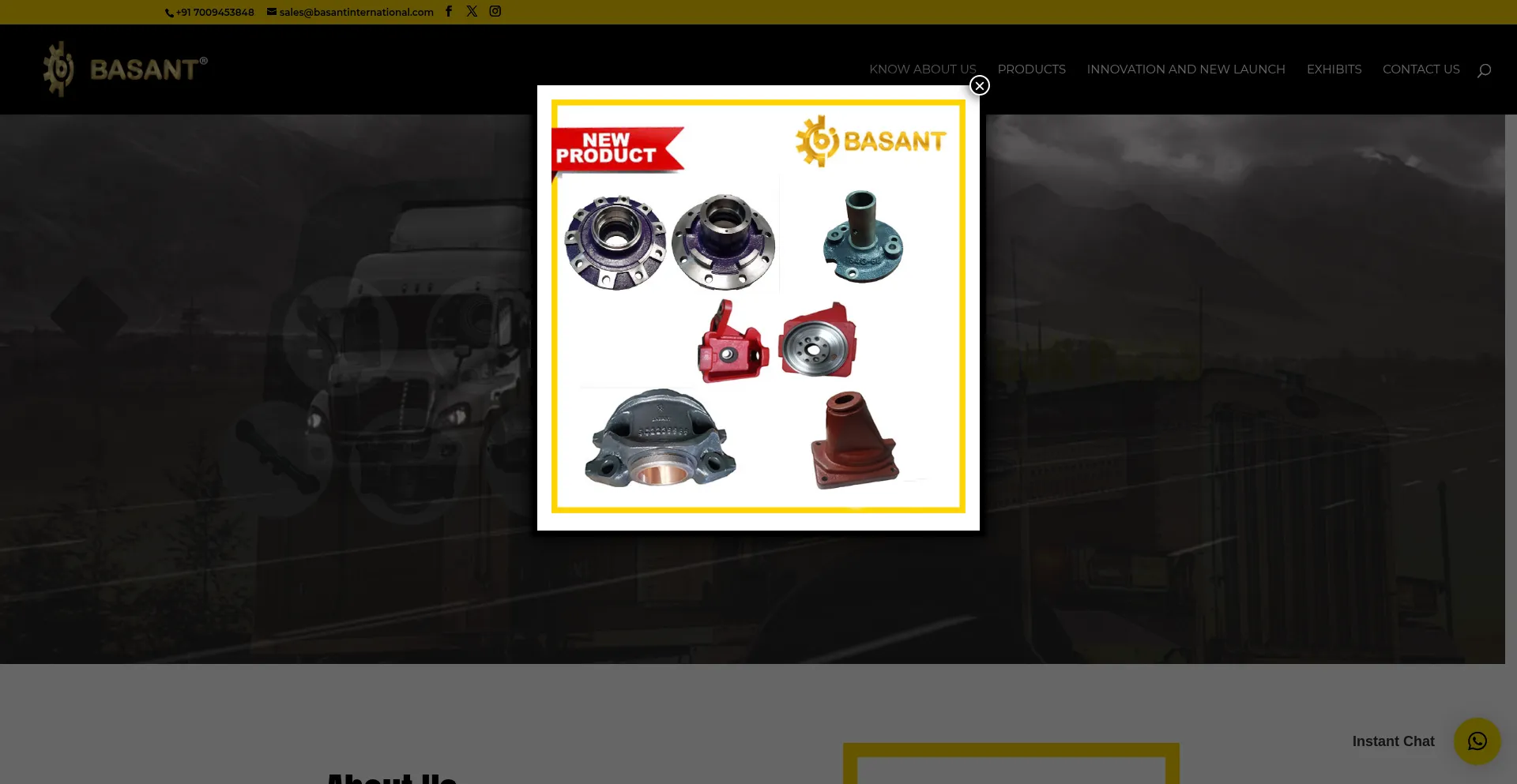 Basantinternational.com