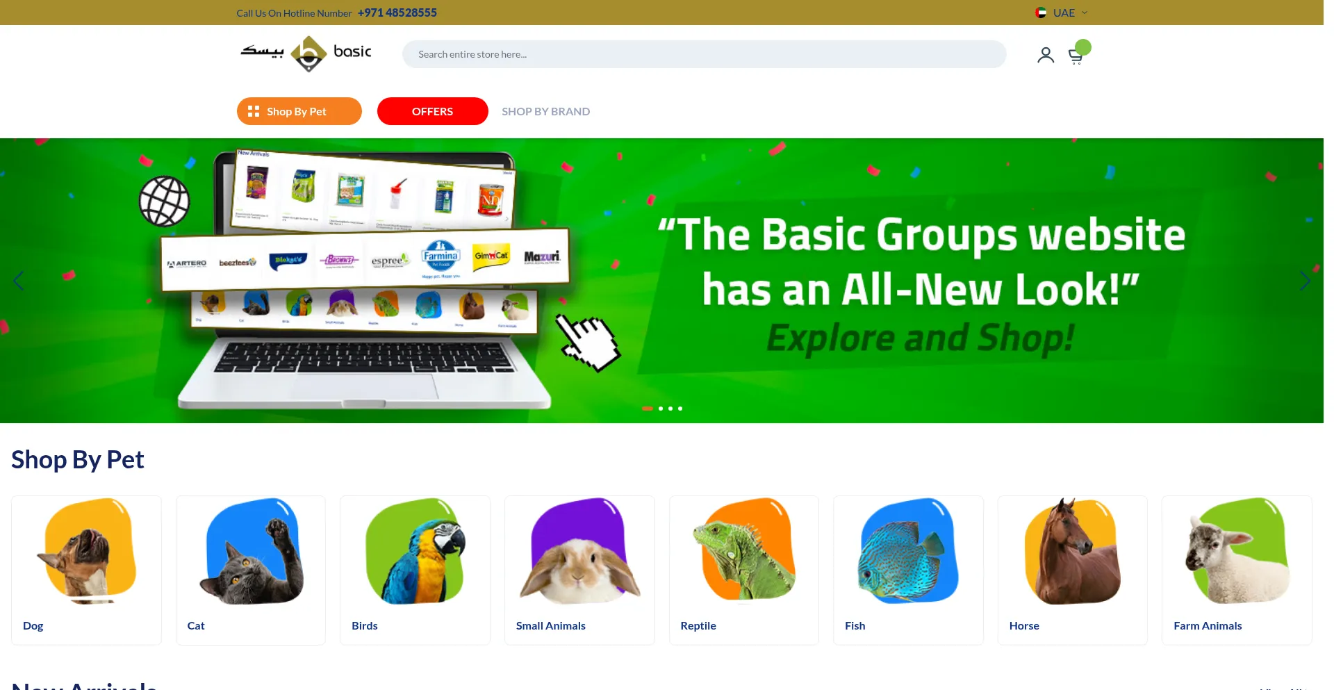 Website screenshot of Basicgroups.com