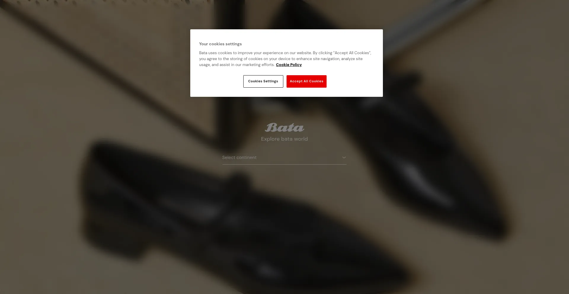 Website screenshot of Bata.com