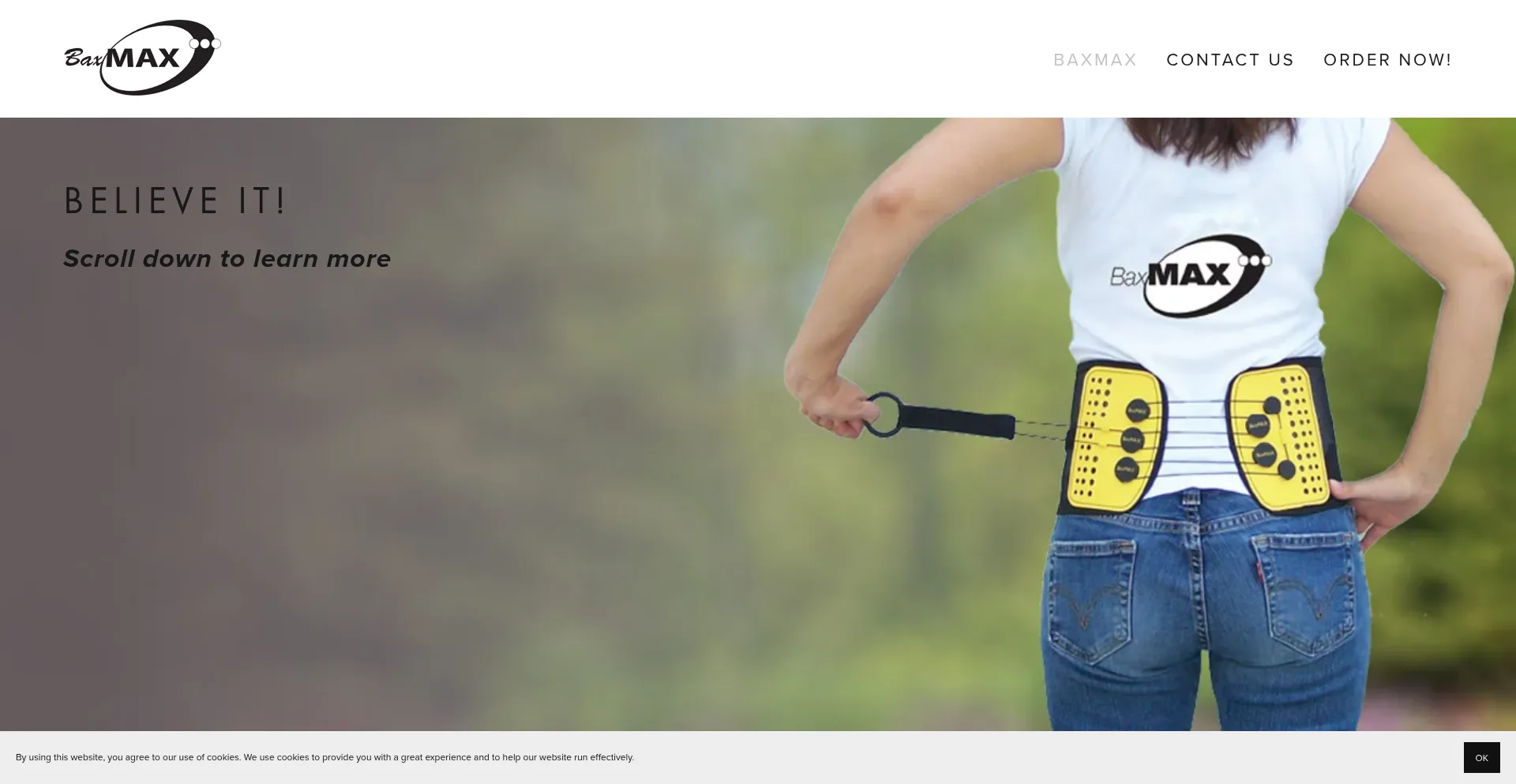 Website screenshot of Baxmax.ca