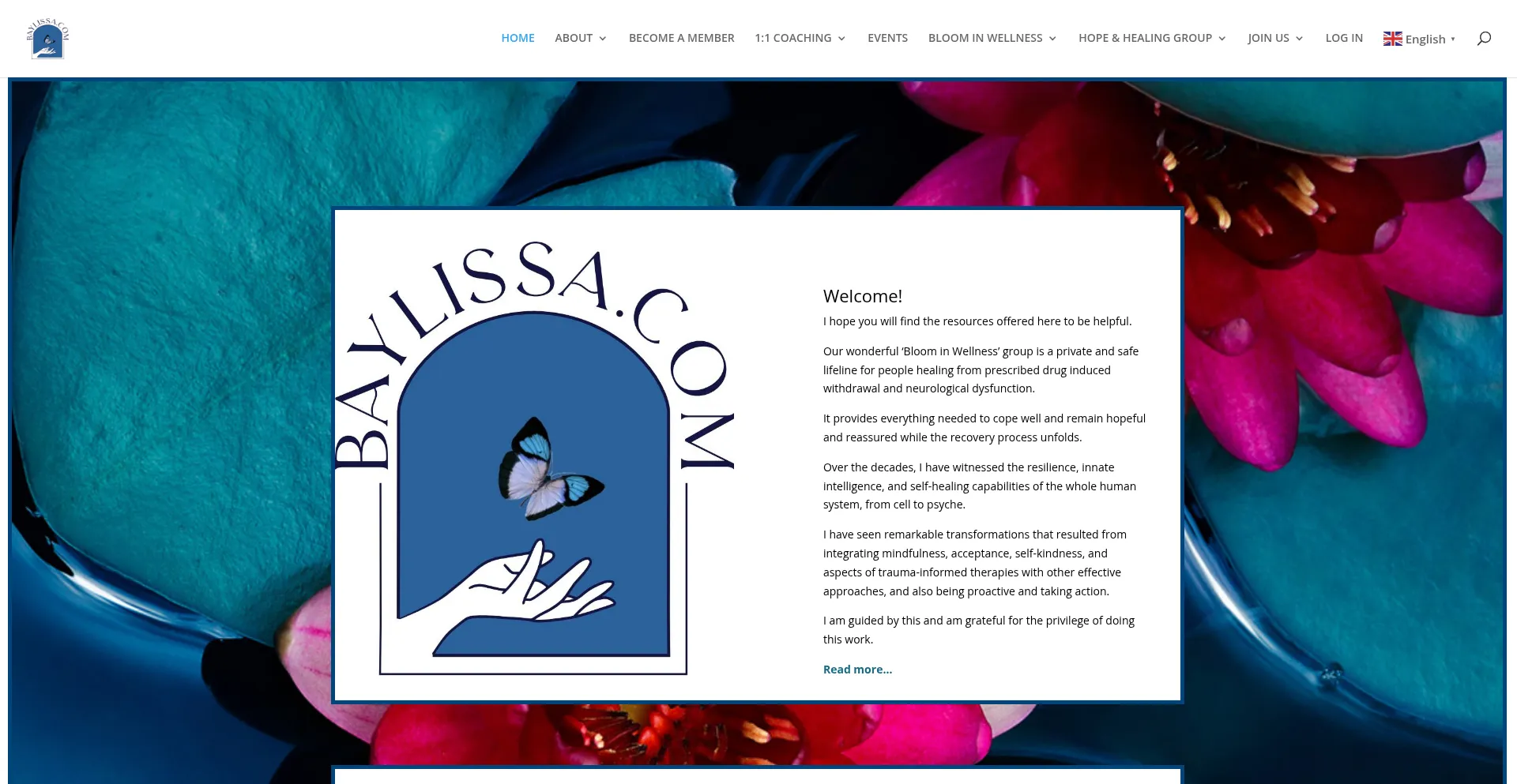 Website screenshot of Baylissa.com