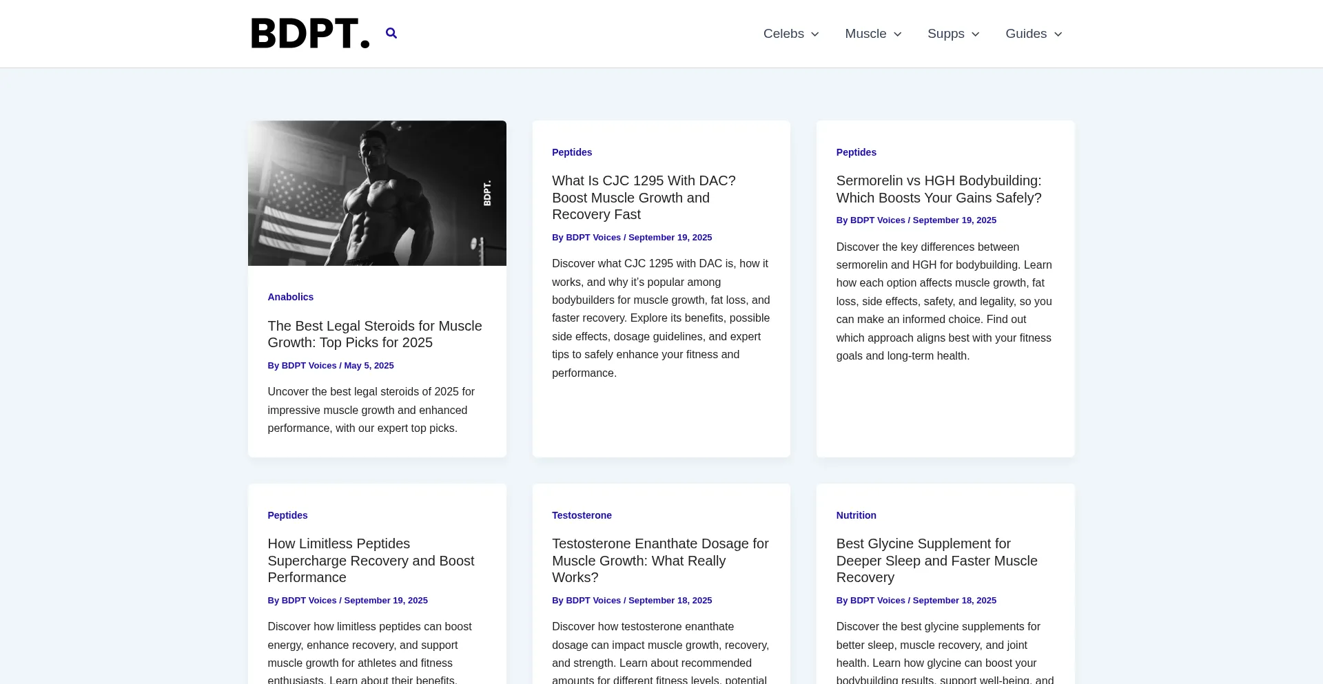 Bdpt.org Screenshot