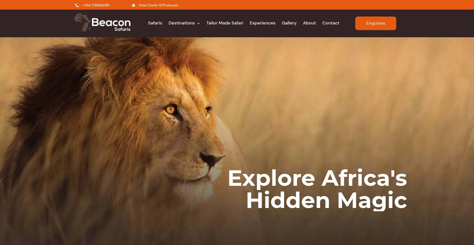 Beaconsafaris.com 安全可靠吗？