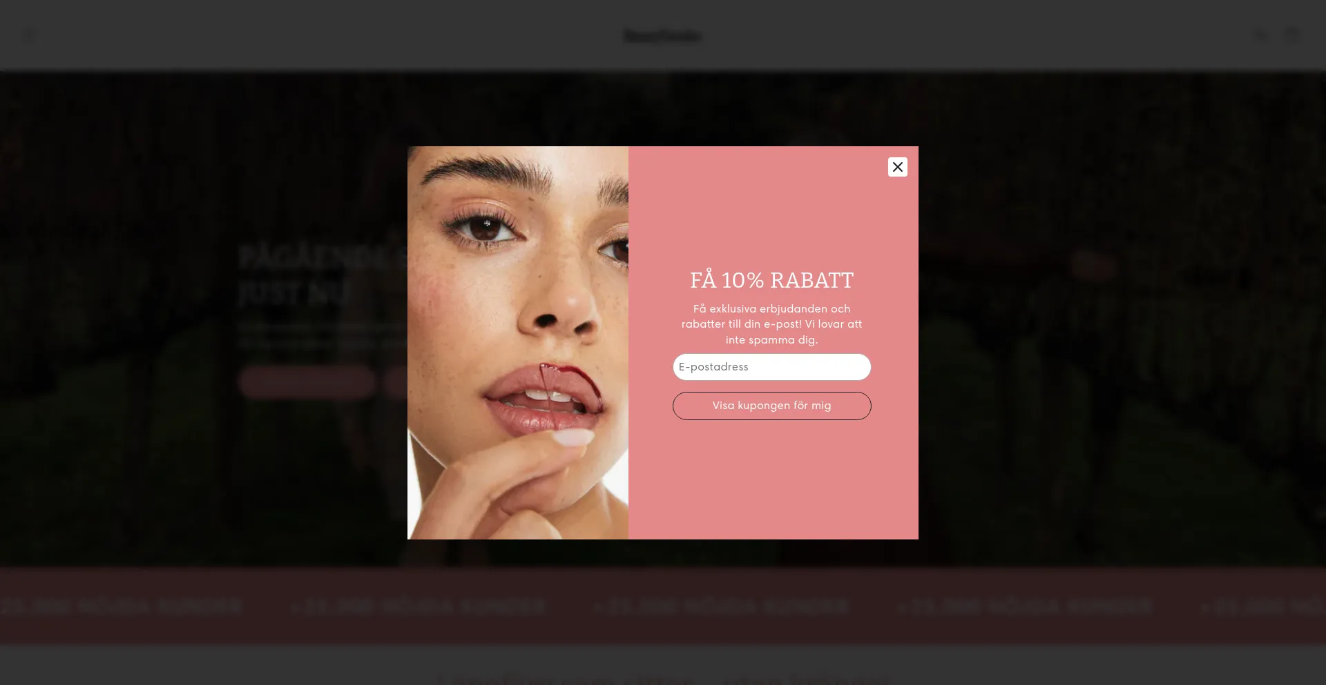 Website screenshot of Beautysweden.se