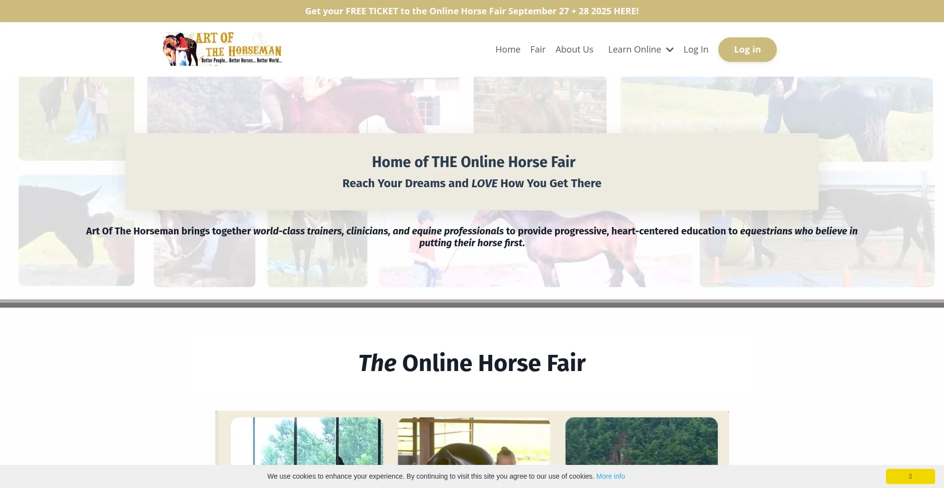 Website screenshot of Becauseofthehorse.net