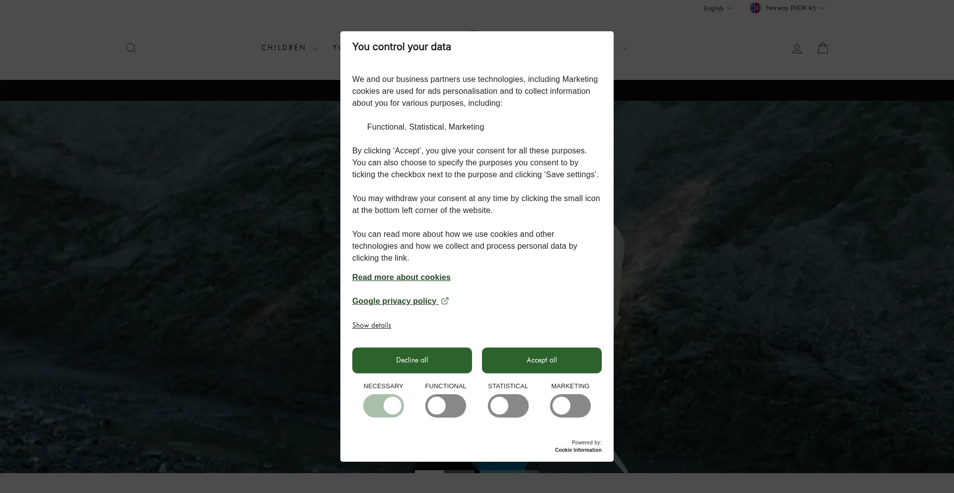 Website screenshot of Beckmann-norway.com