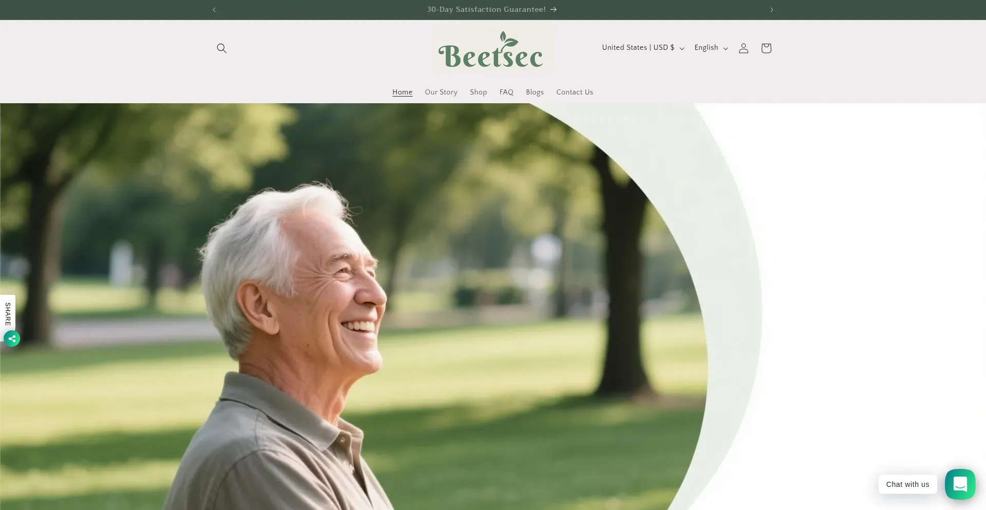 Website screenshot of Beetsec.com