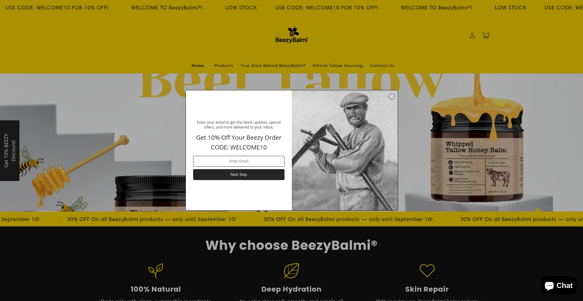 Website screenshot of Beezybalmi.com
