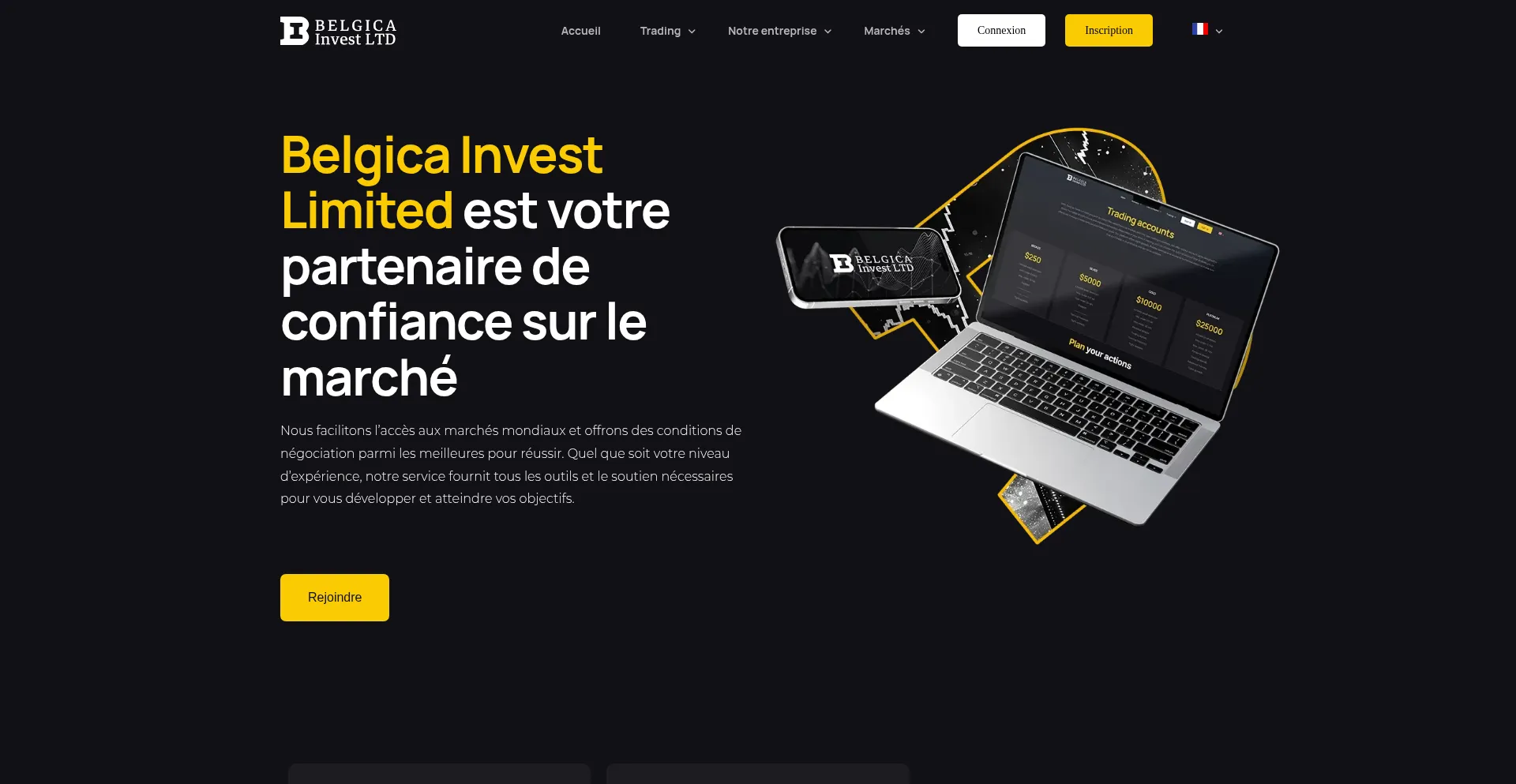Belgicainvest.ltd Screenshot