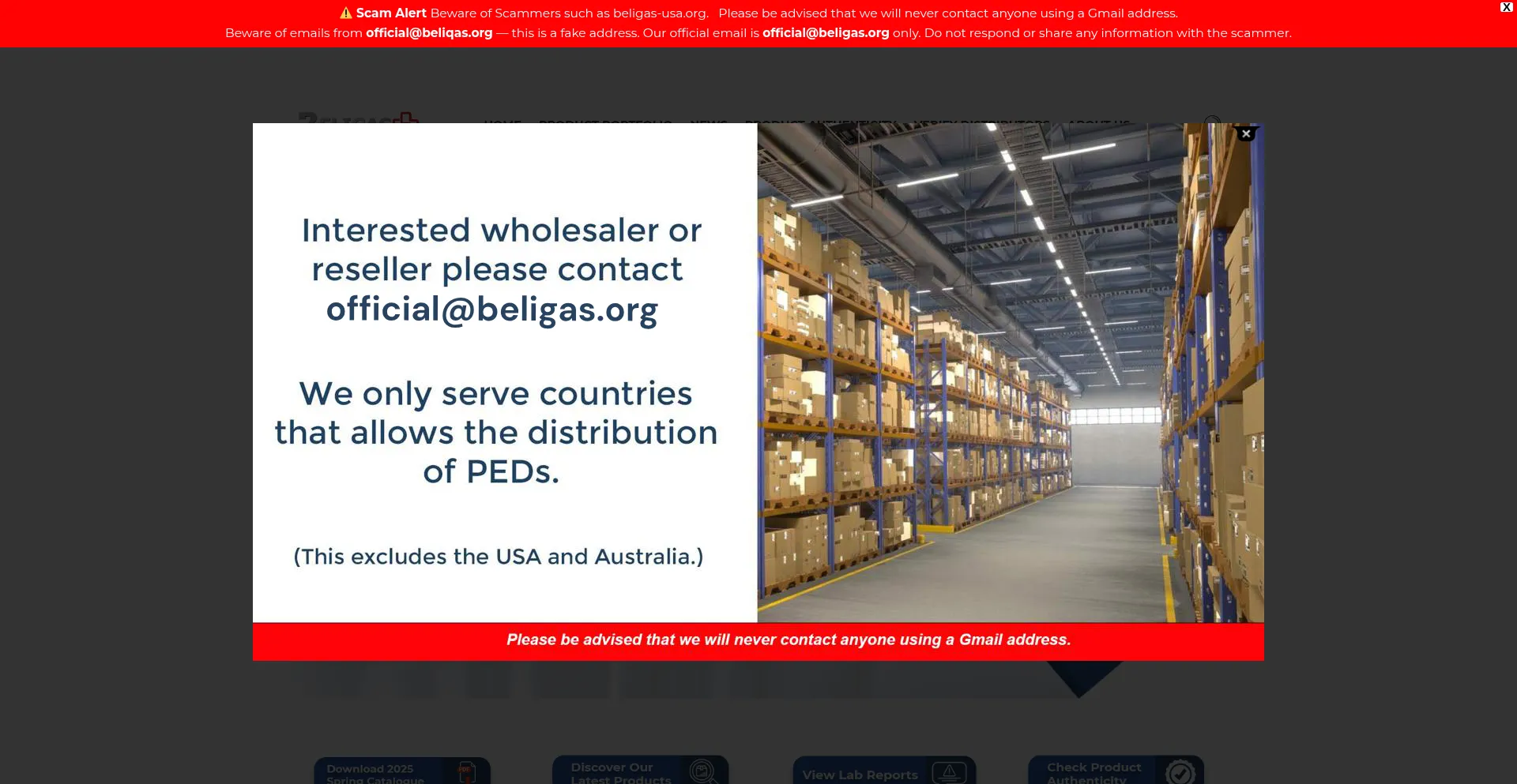 Website screenshot of Beligas.org