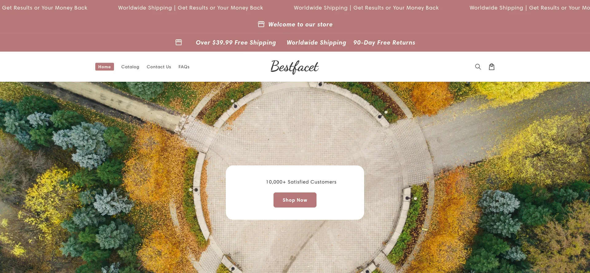 Website screenshot of Bestfacet.com
