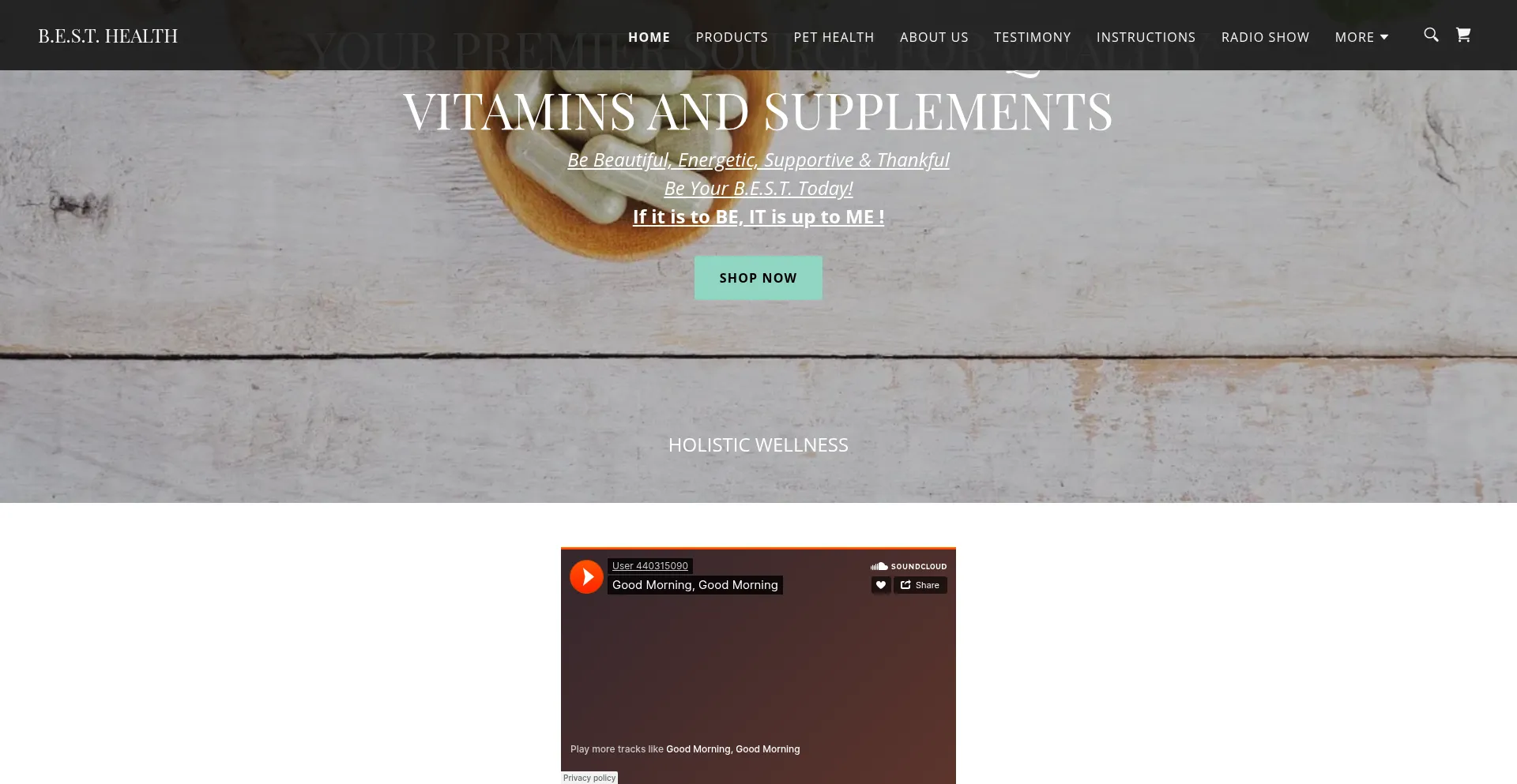 Website screenshot of Besthealthfit.com