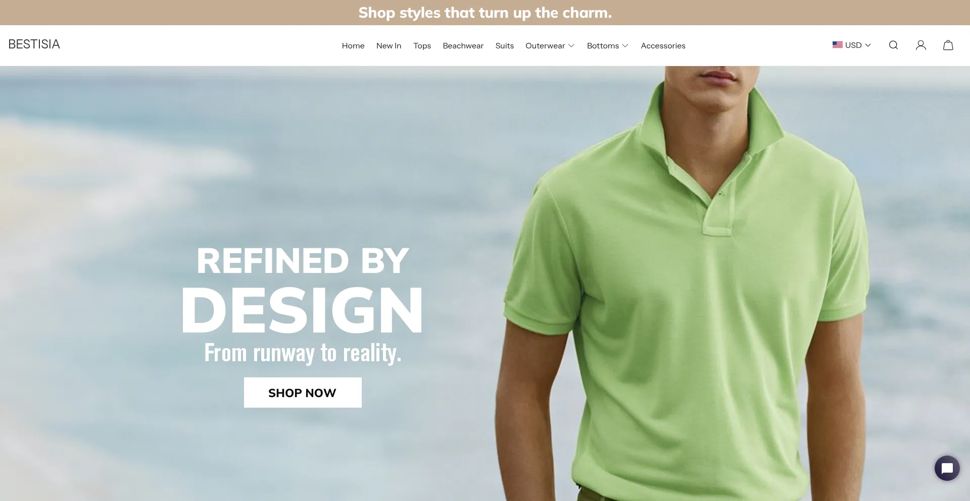 Website screenshot of Bestisia.com