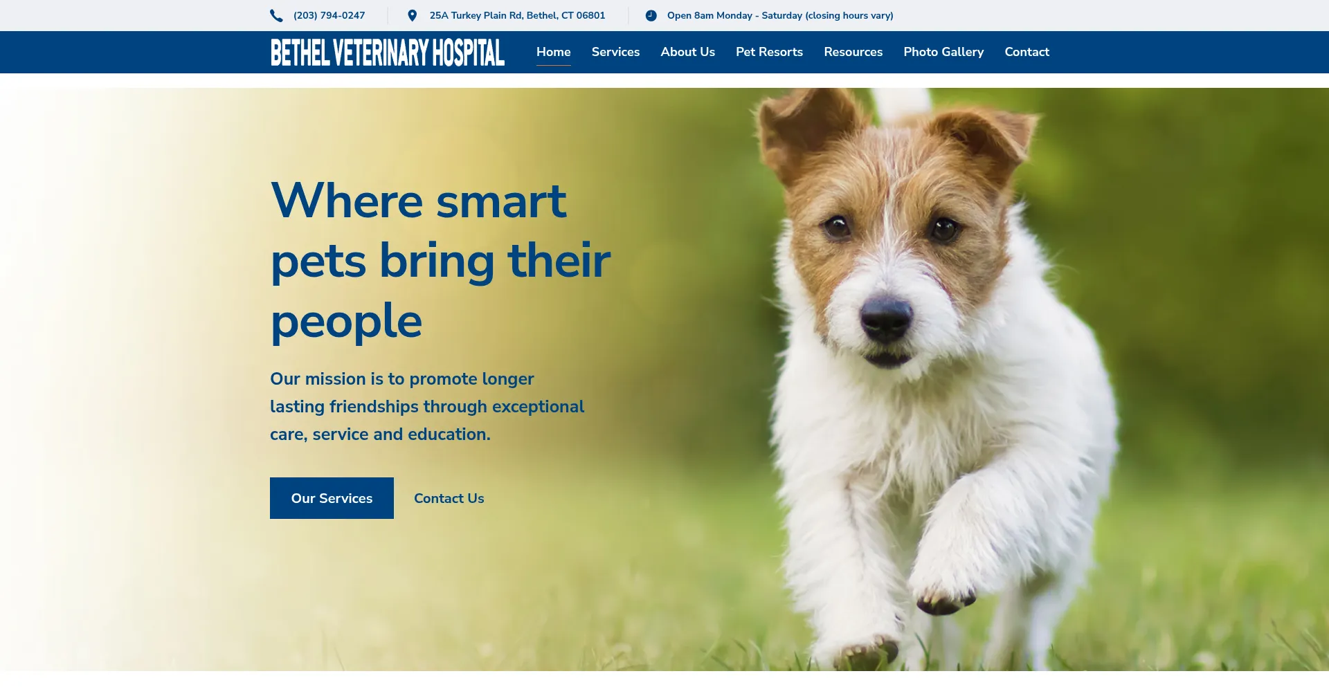 Bethelveterinary.com