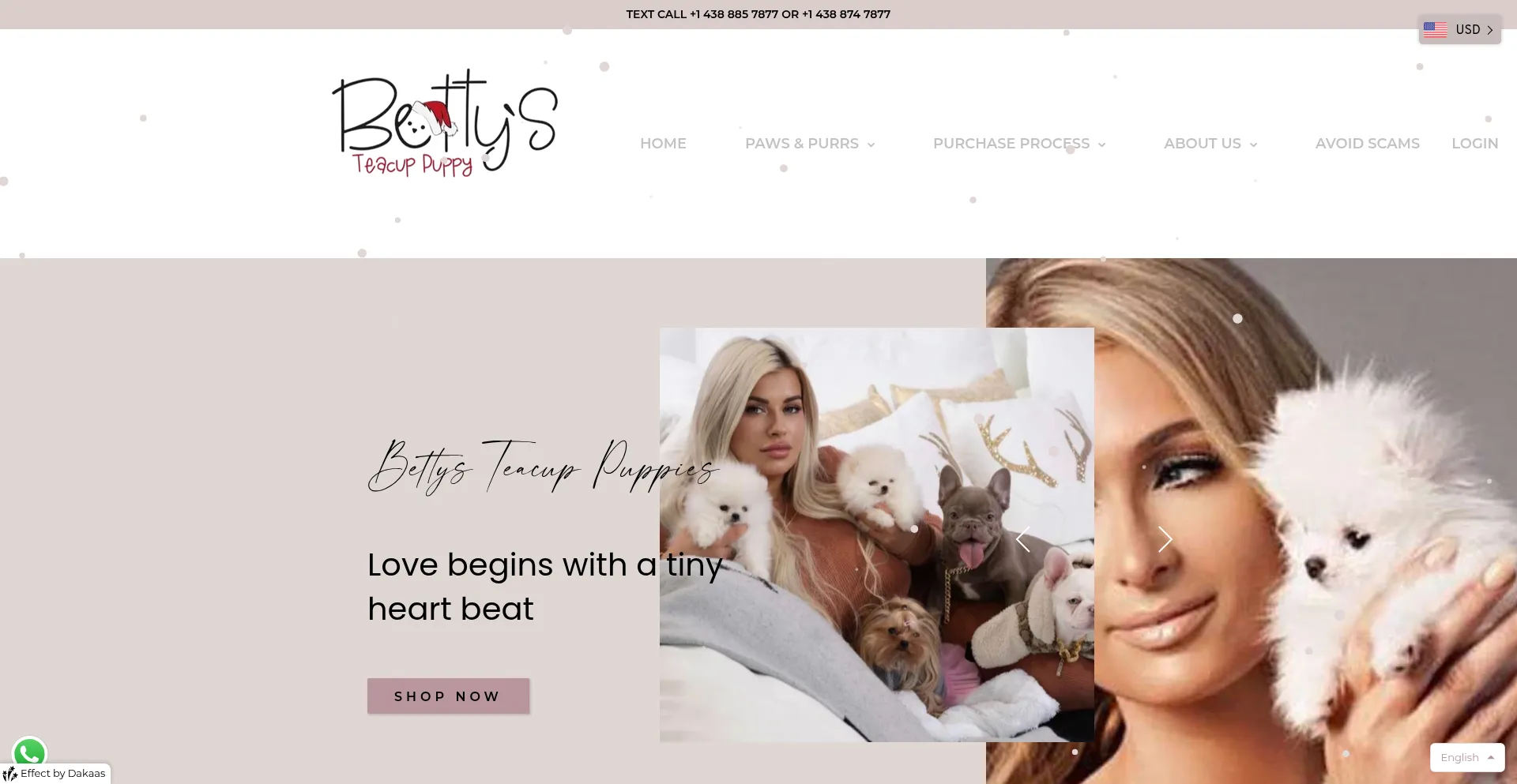 Bettysteacuppuppies.com