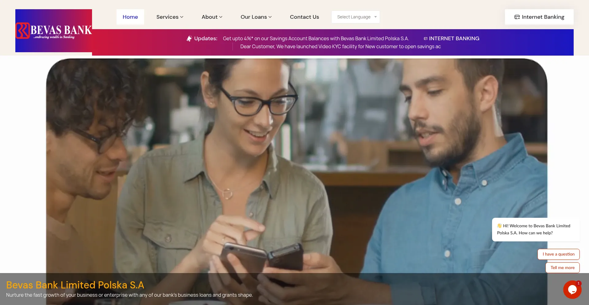 Website screenshot of Bevas-pl.com