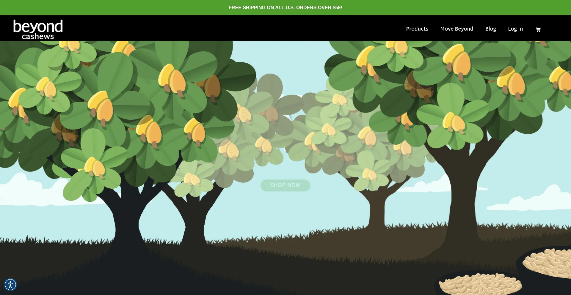 Website screenshot of Beyondthenut.com
