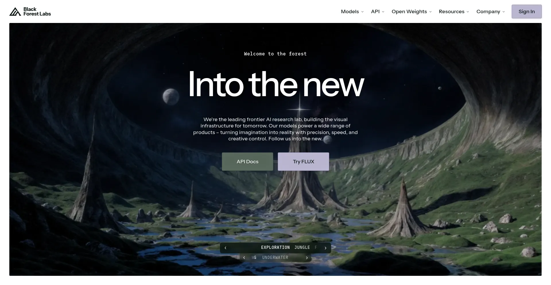 Website screenshot of Bfl.ai
