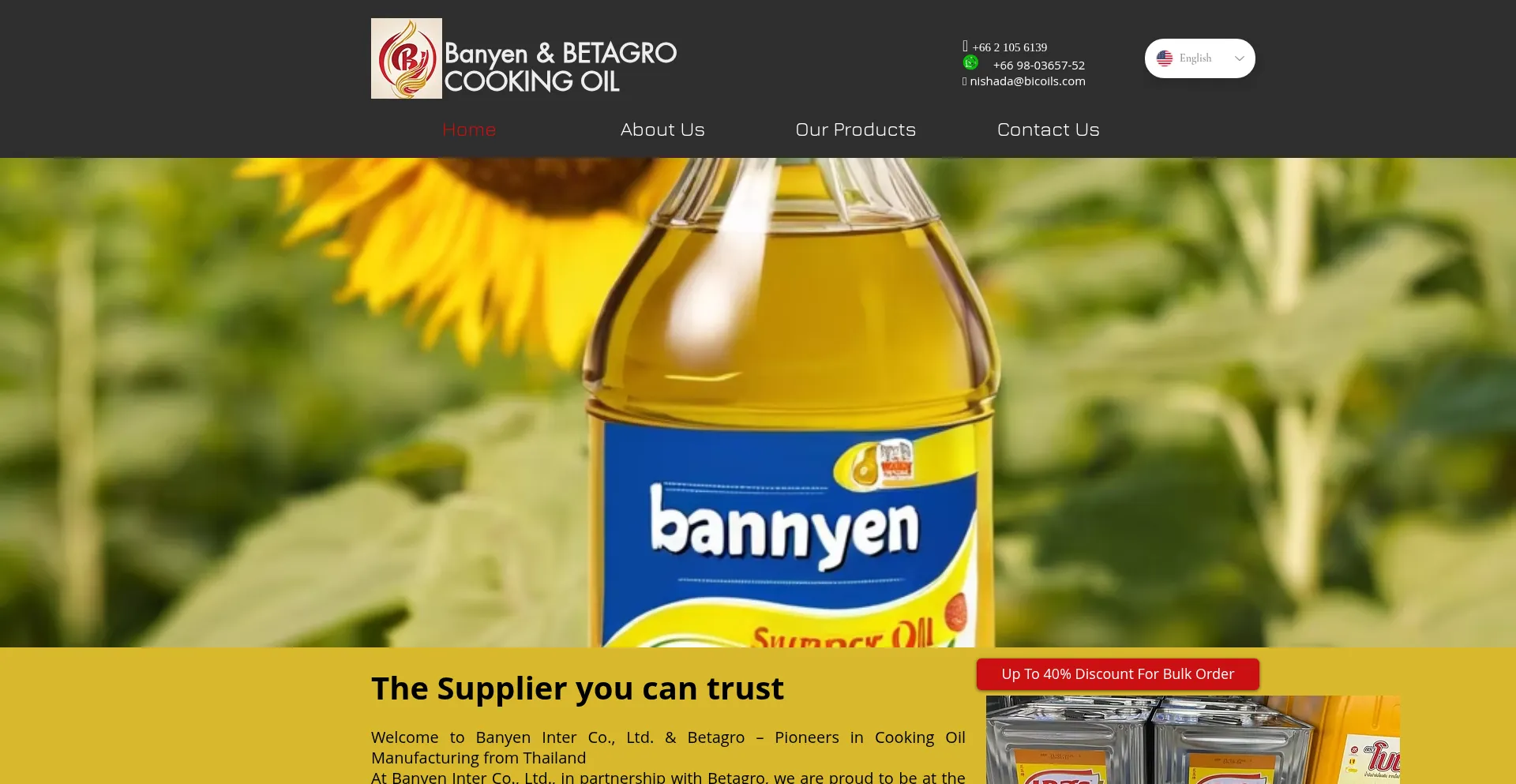 Website screenshot of Bicoils.com
