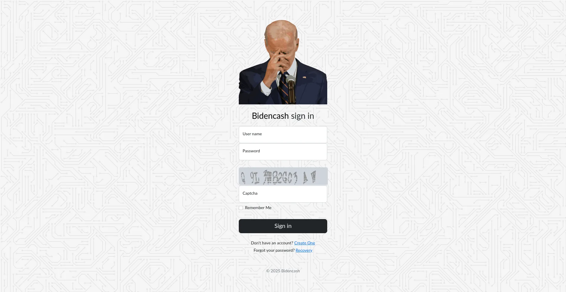 Website screenshot of Bidencash.in