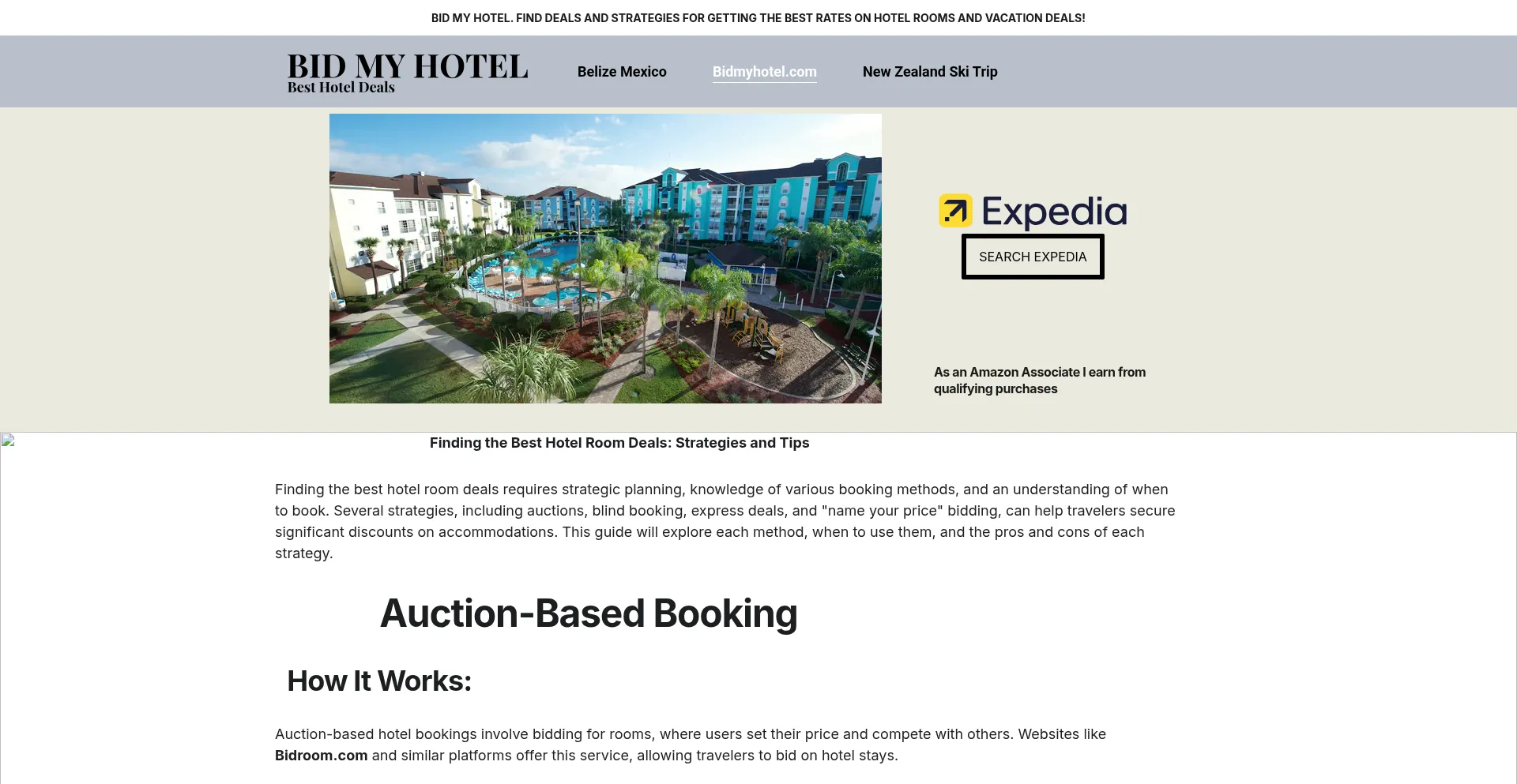 Website screenshot of Bidmyhotel.com