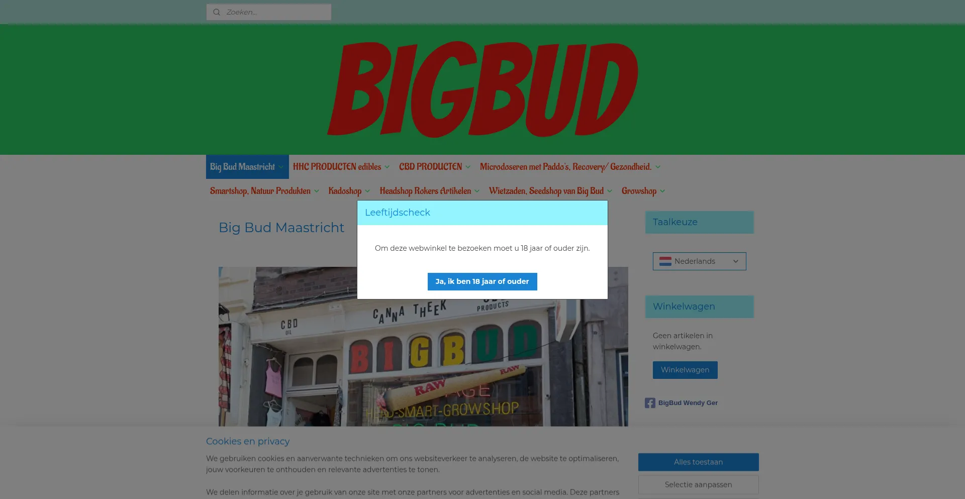 Website screenshot of Bigbud-maastricht.nl