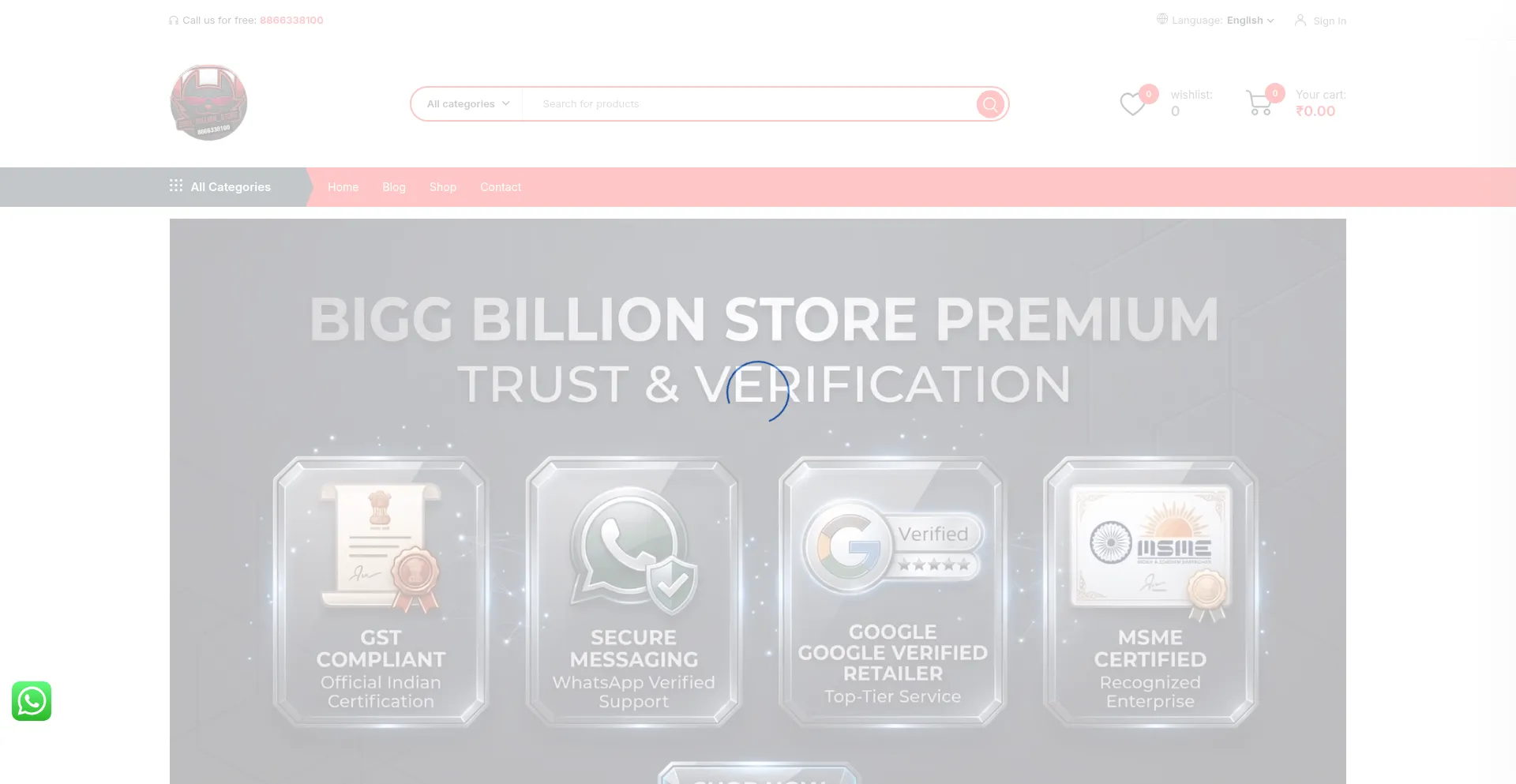 Biggbillionstore.com