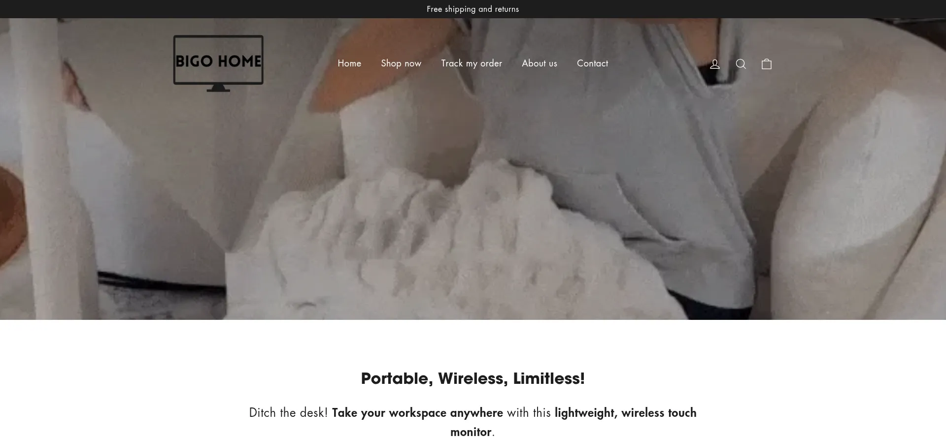 Website screenshot of Bigohome.com